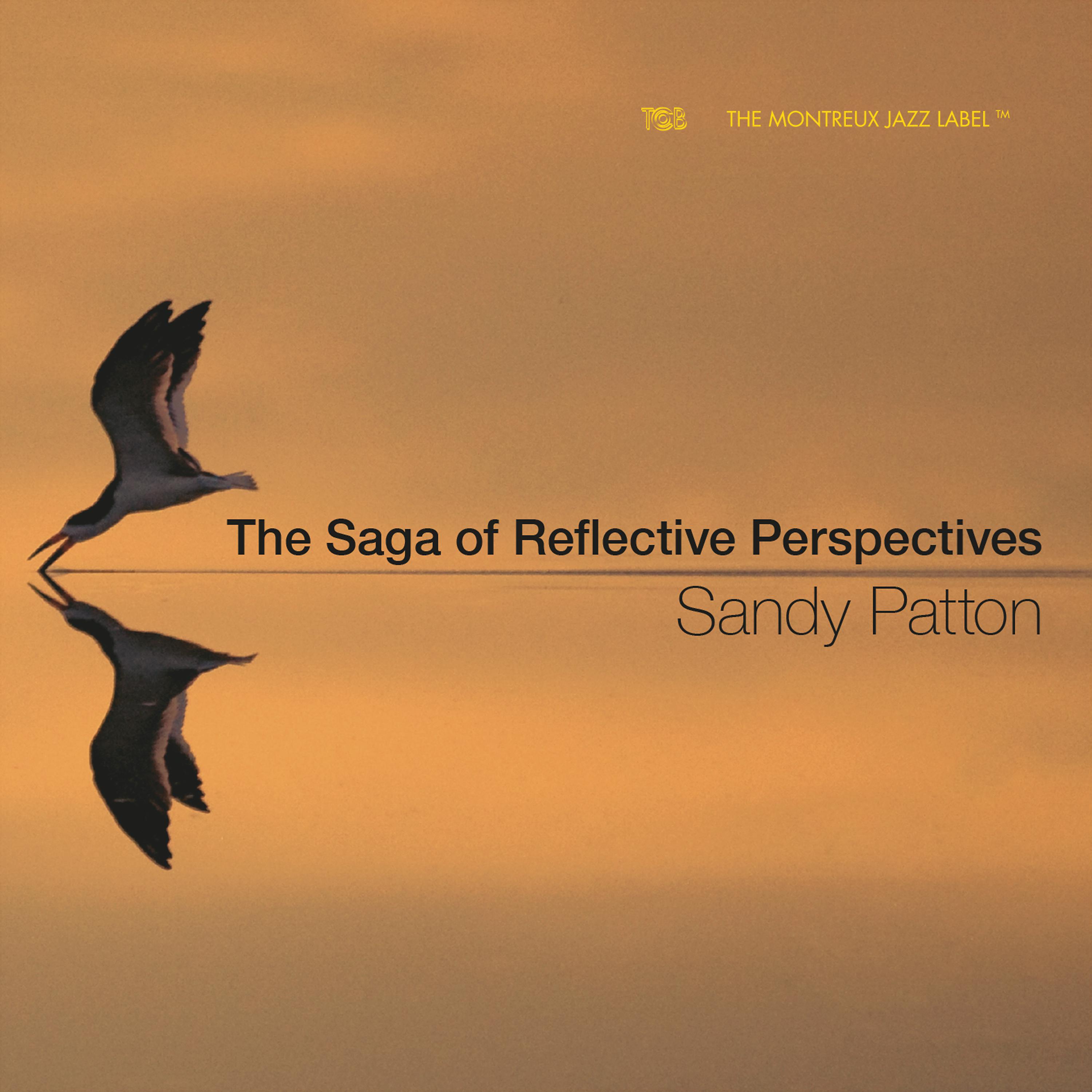 Постер альбома The Saga of Reflective Perspectives