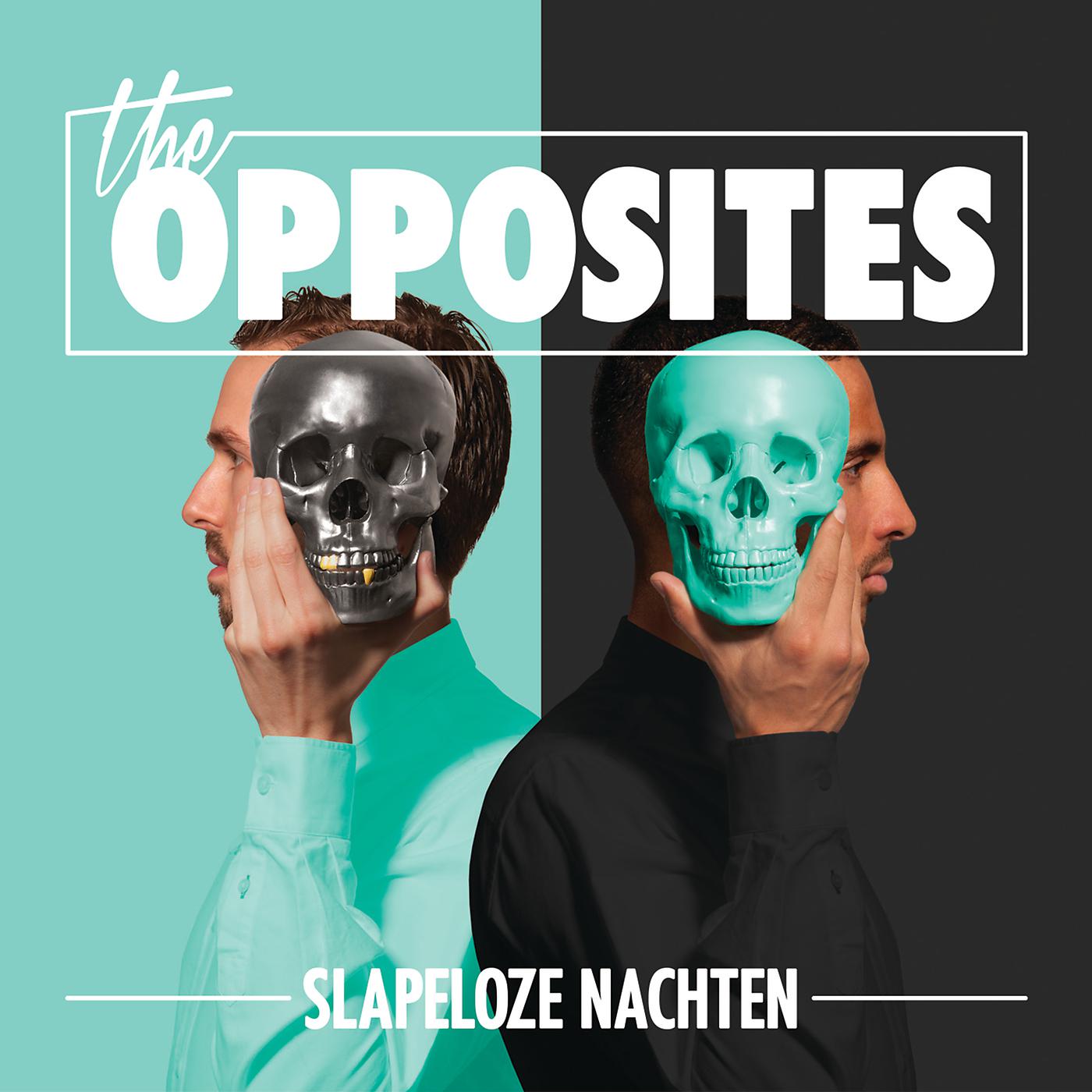 Постер альбома Slapeloze Nachten