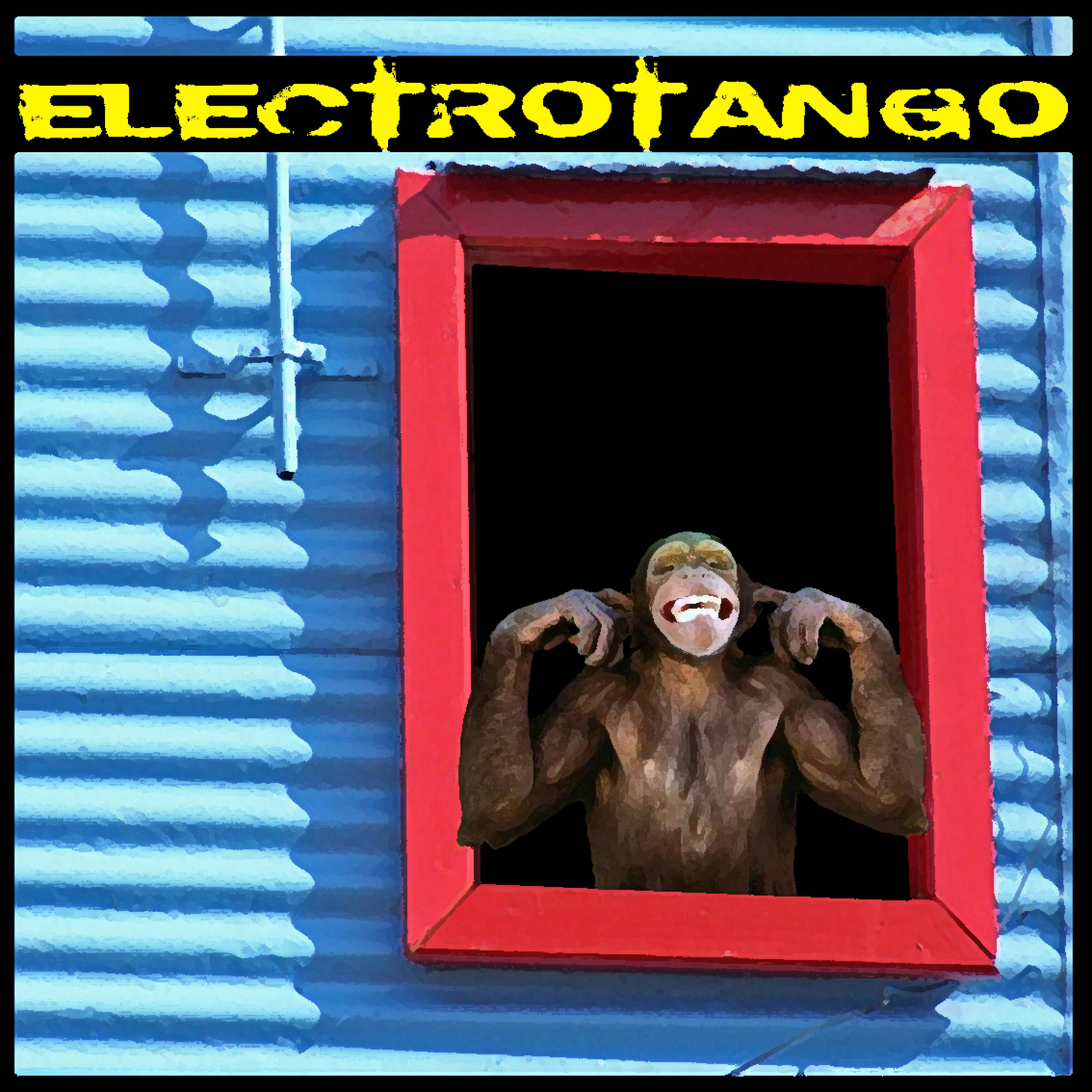 Постер альбома Electronic Tango