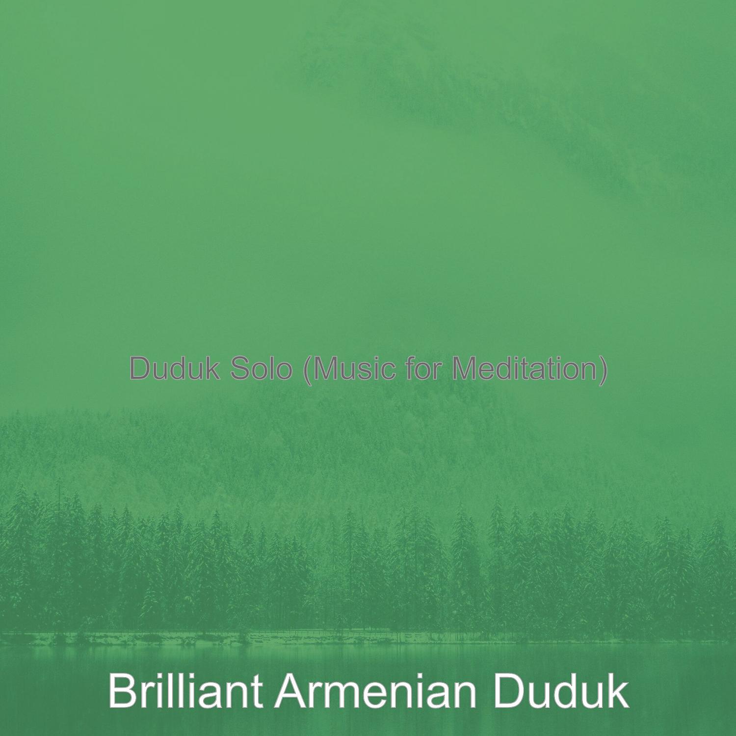 Постер альбома Duduk Solo (Music for Meditation)