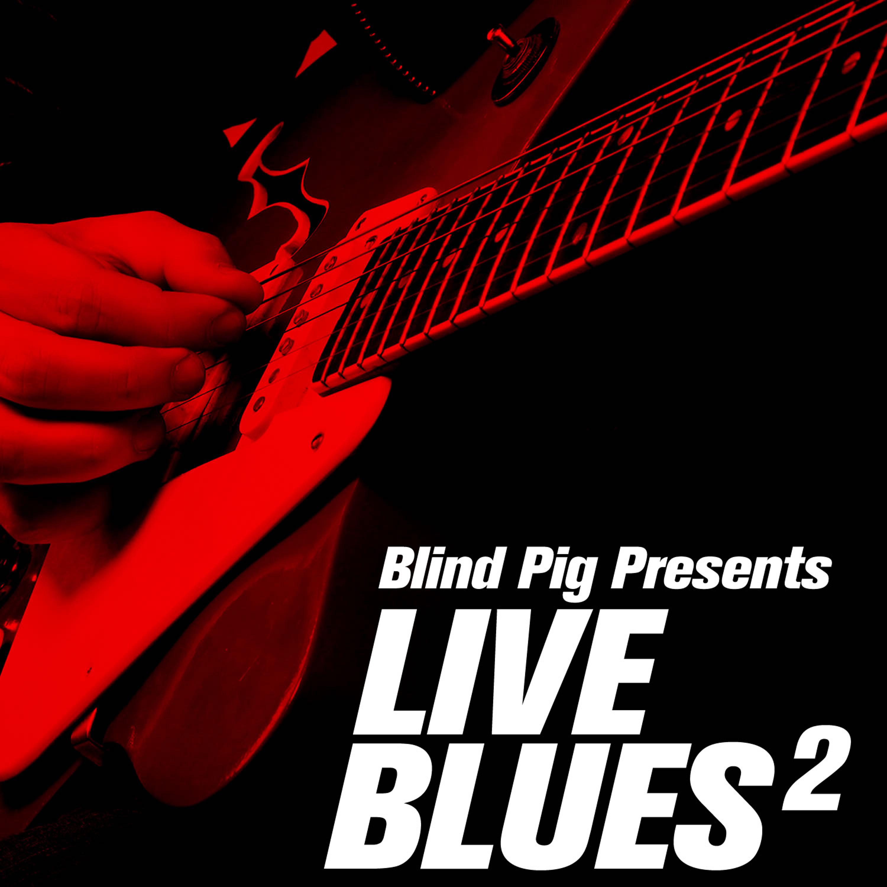 Постер альбома Blind Pig Presents: Live Blues 2