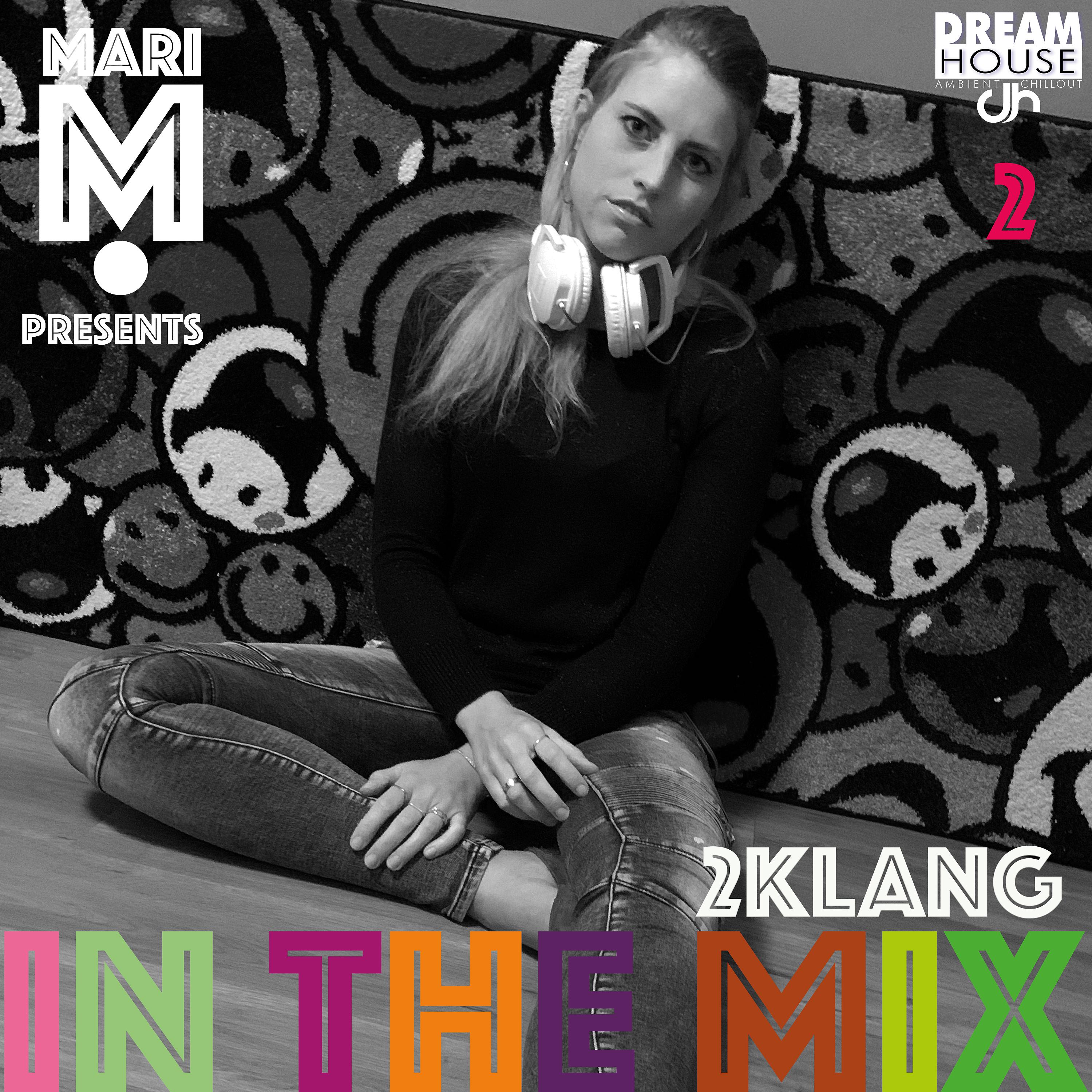 Постер альбома In the Mix 2