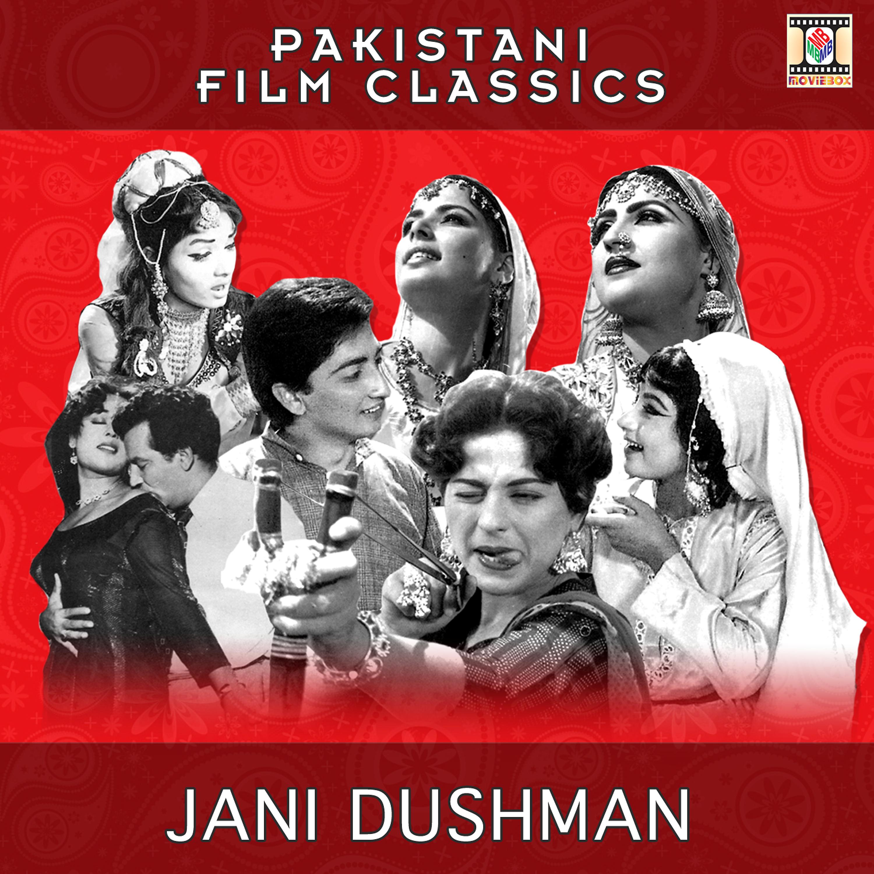 Постер альбома Jani Dushman (Pakistani Film Soundtrack)