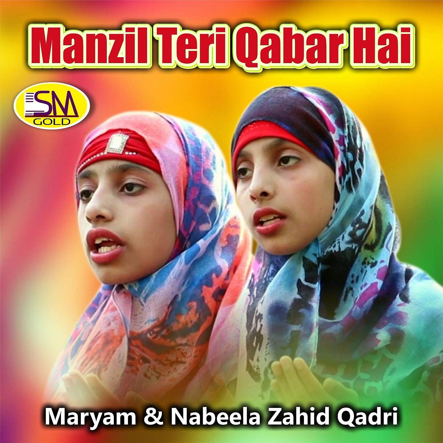 Постер альбома Manzil Teri Qabar Hai