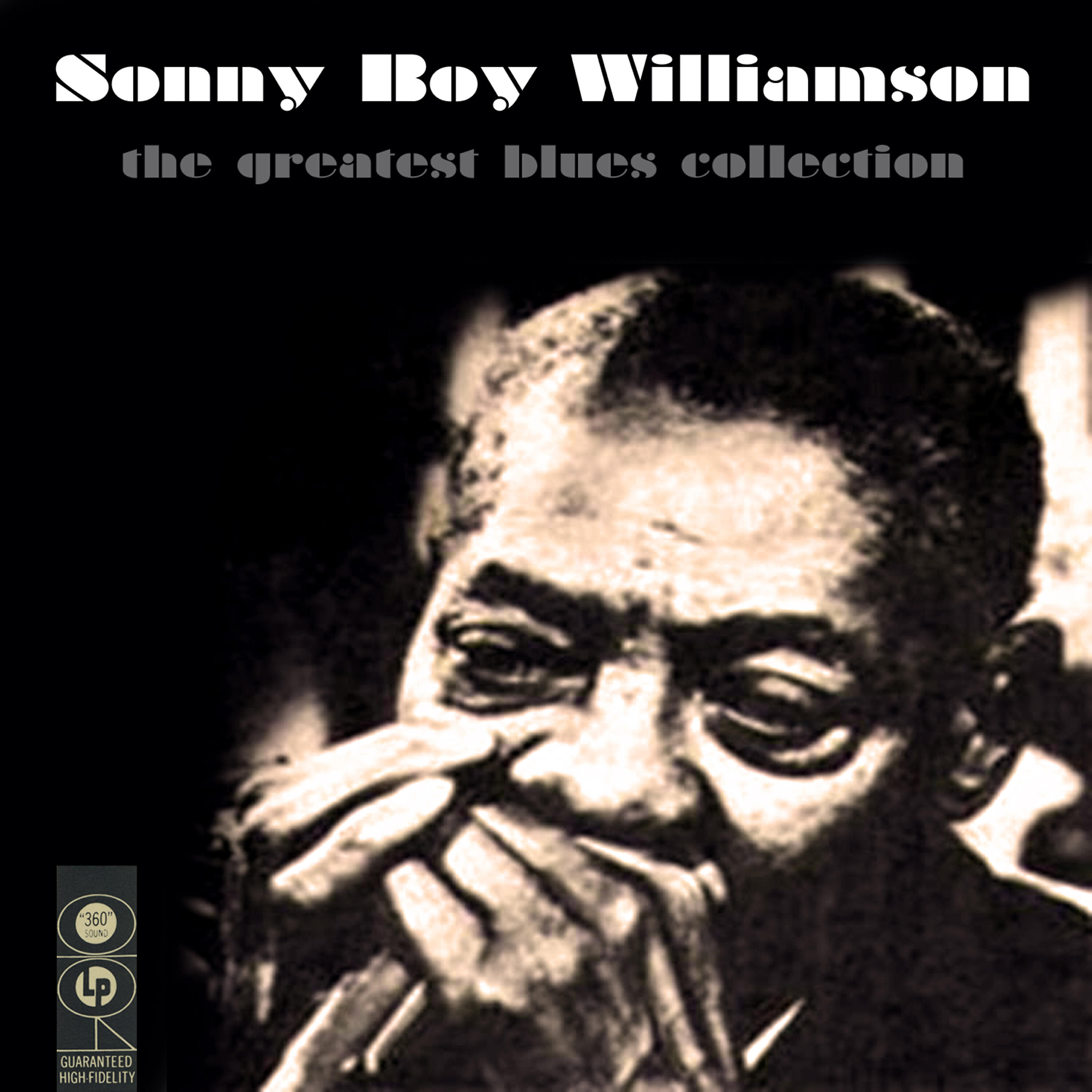Big Joe Williams - She Left Me A Mule