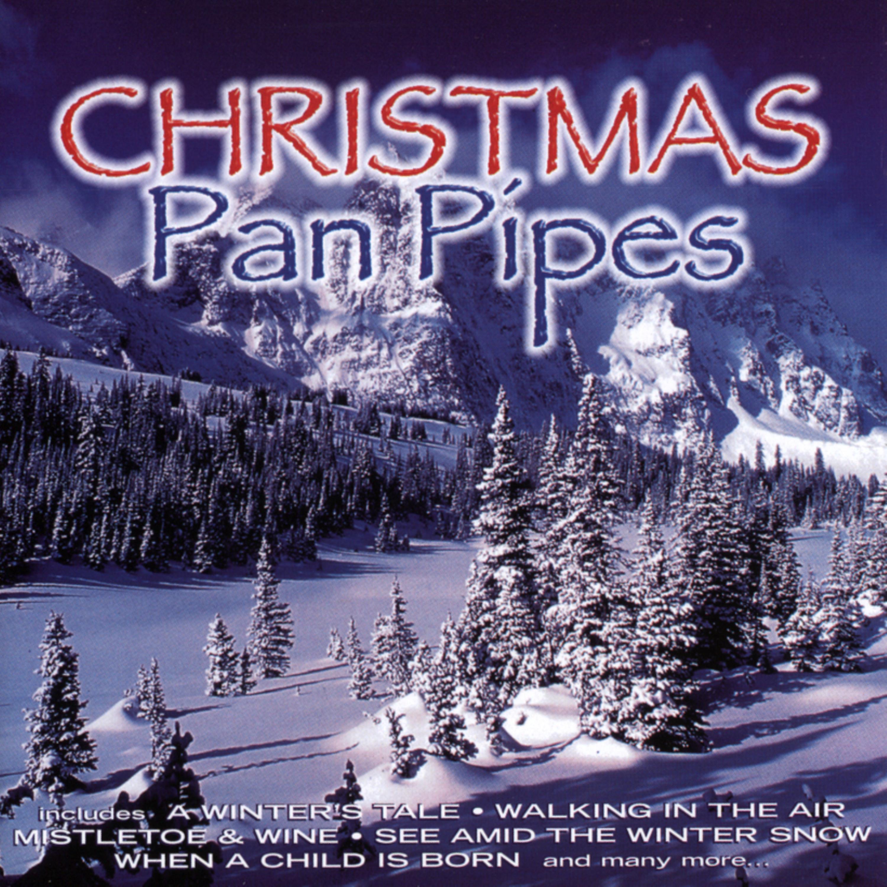 Постер альбома Christmas Pan Pipes
