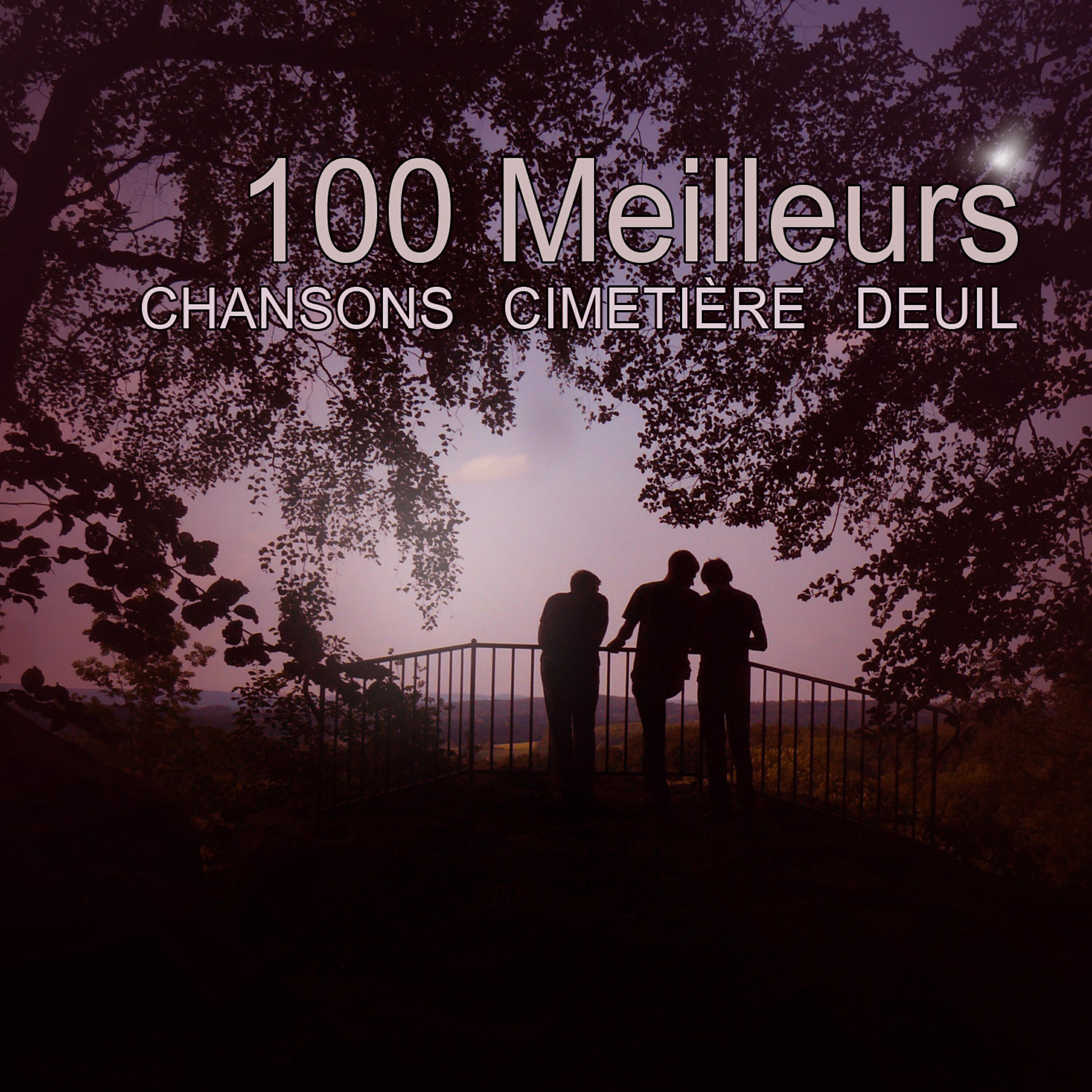 Chansons Funéraires - River Flows in You (Music Inspired By the Movie Twilight) (Tribute Version)