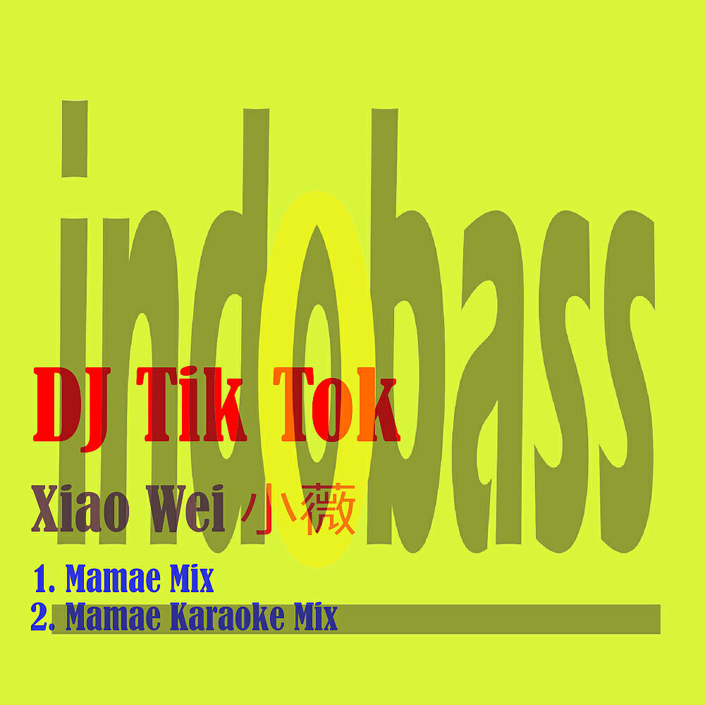 DJ TIK TOK - Xiao Wei 小薇 (Mamae Karaoke Mix)