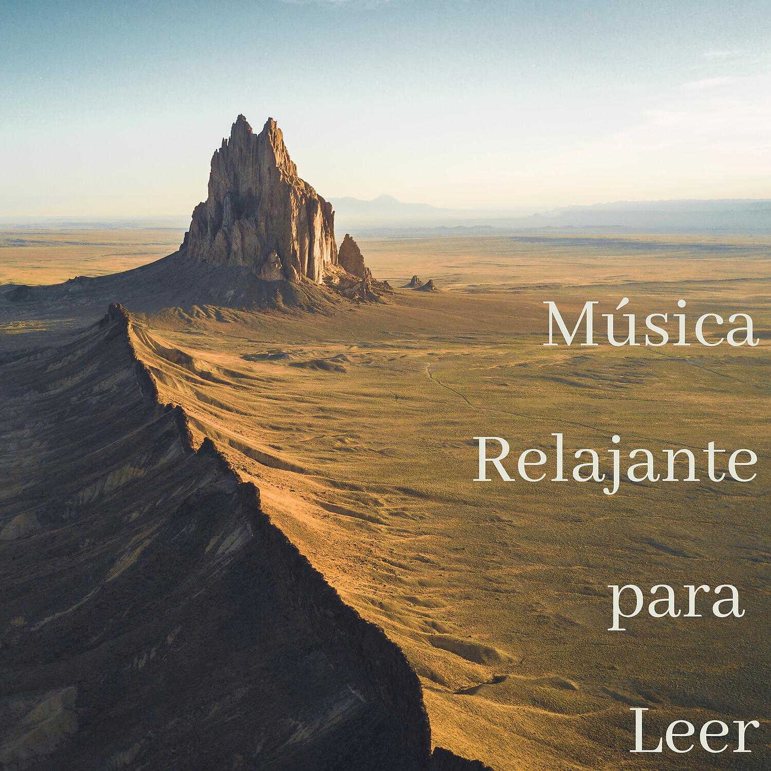 Musica Para Leer - Distant Memory