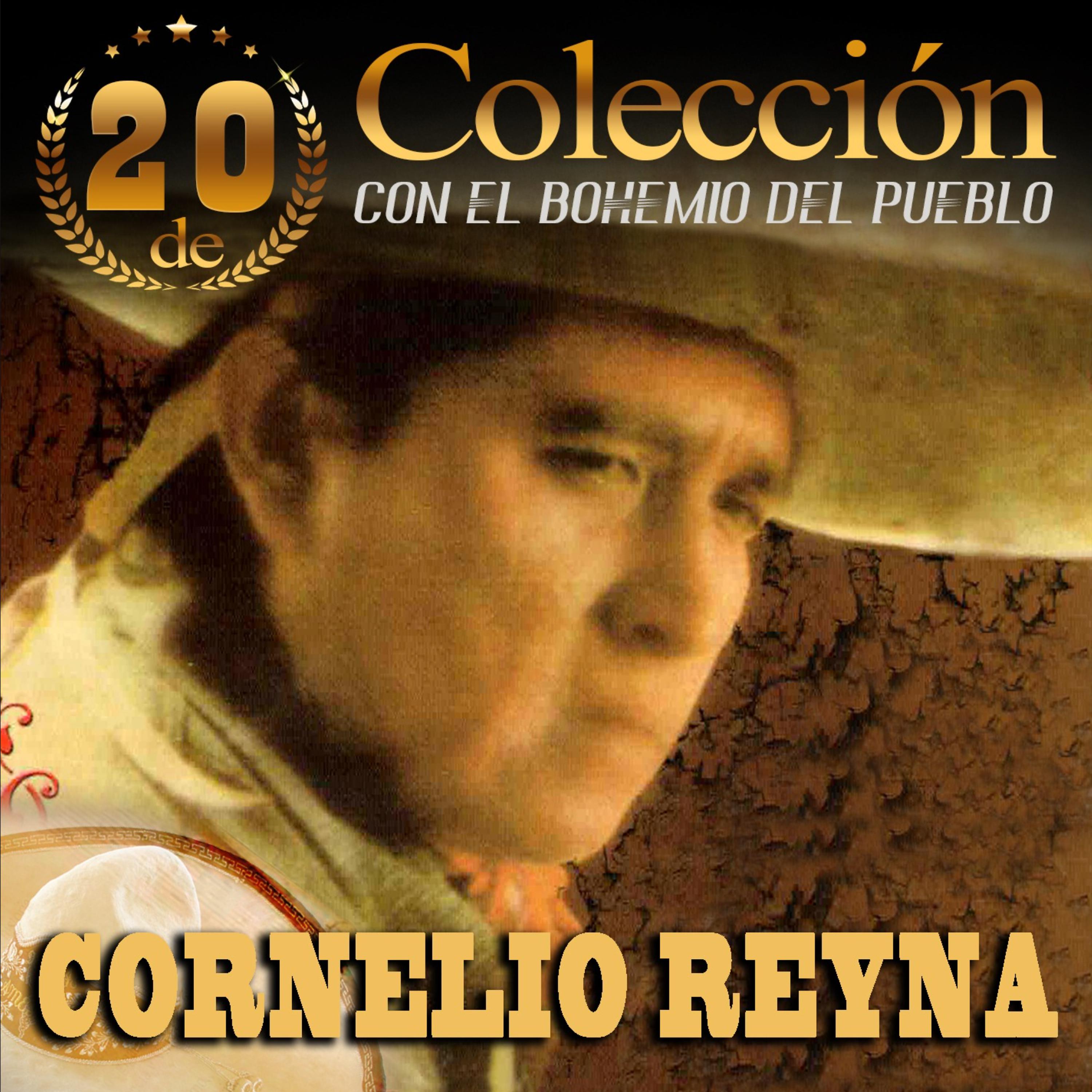 Постер альбома 20 de Colección Con el Bohemio del Pueblo