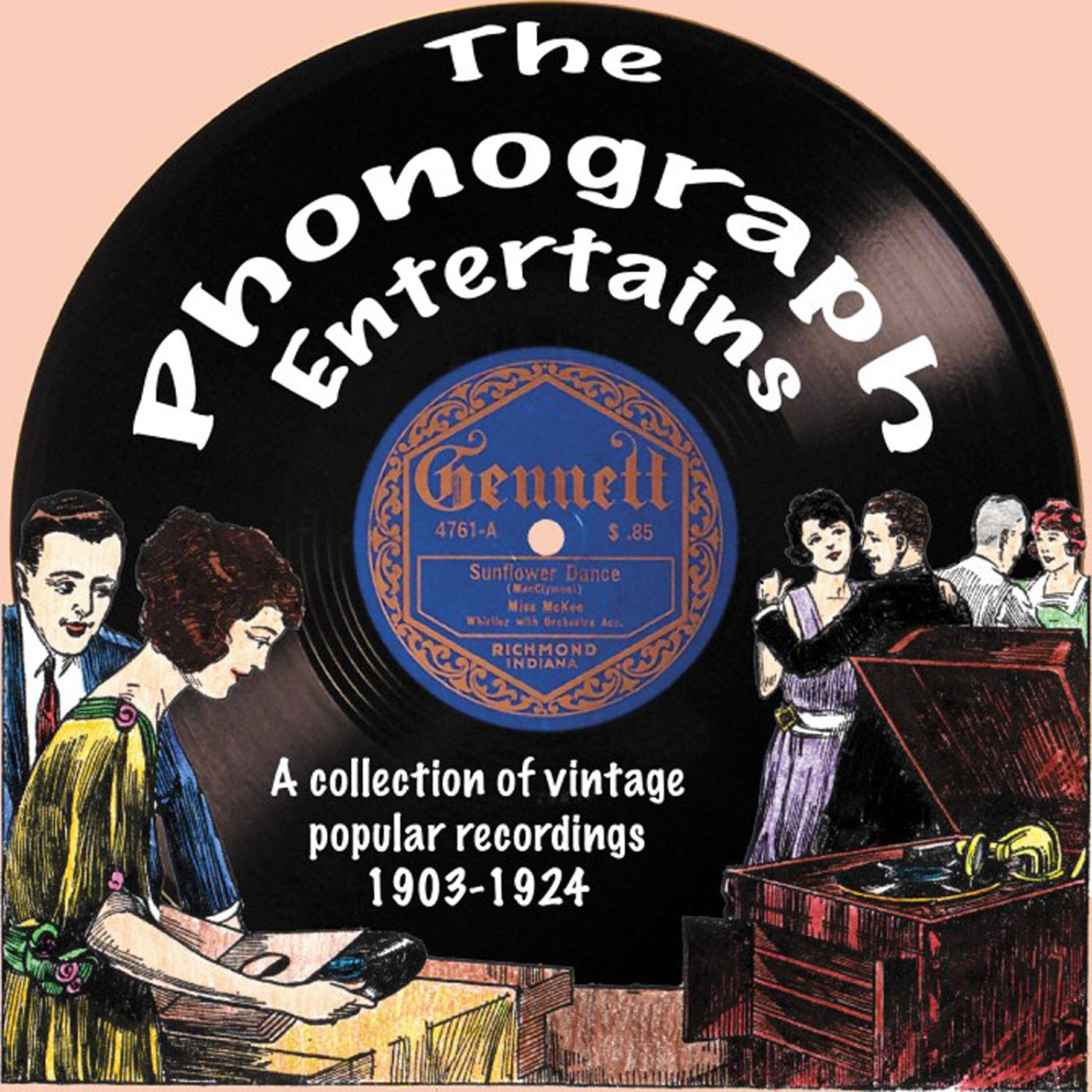 VARIOUS ARTISTS - Peter Gink