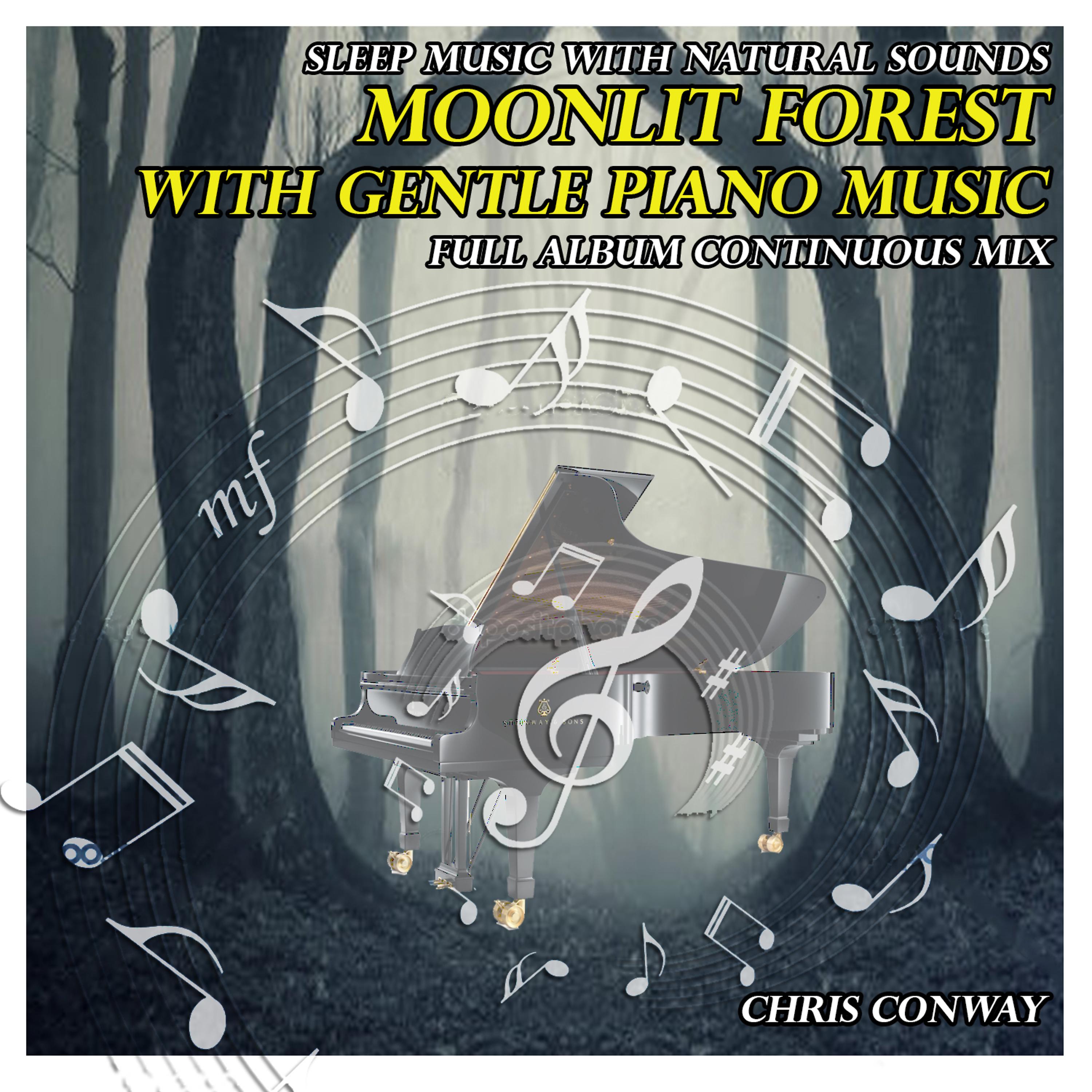 Постер альбома Sleep Music with Natural Sounds: Moonlit Forest with Gentle Piano Music