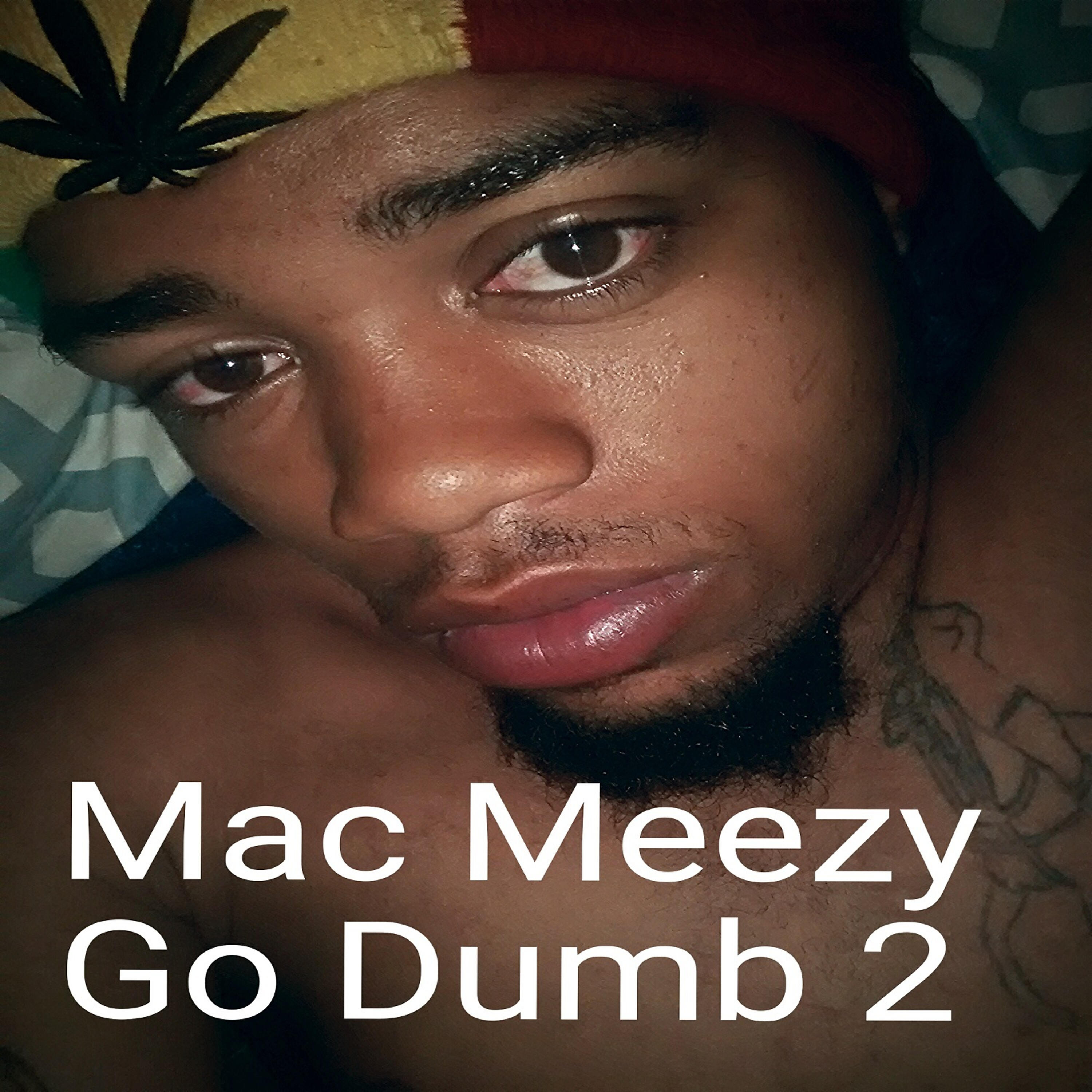 Mac Meezy - Shake a Hater Off