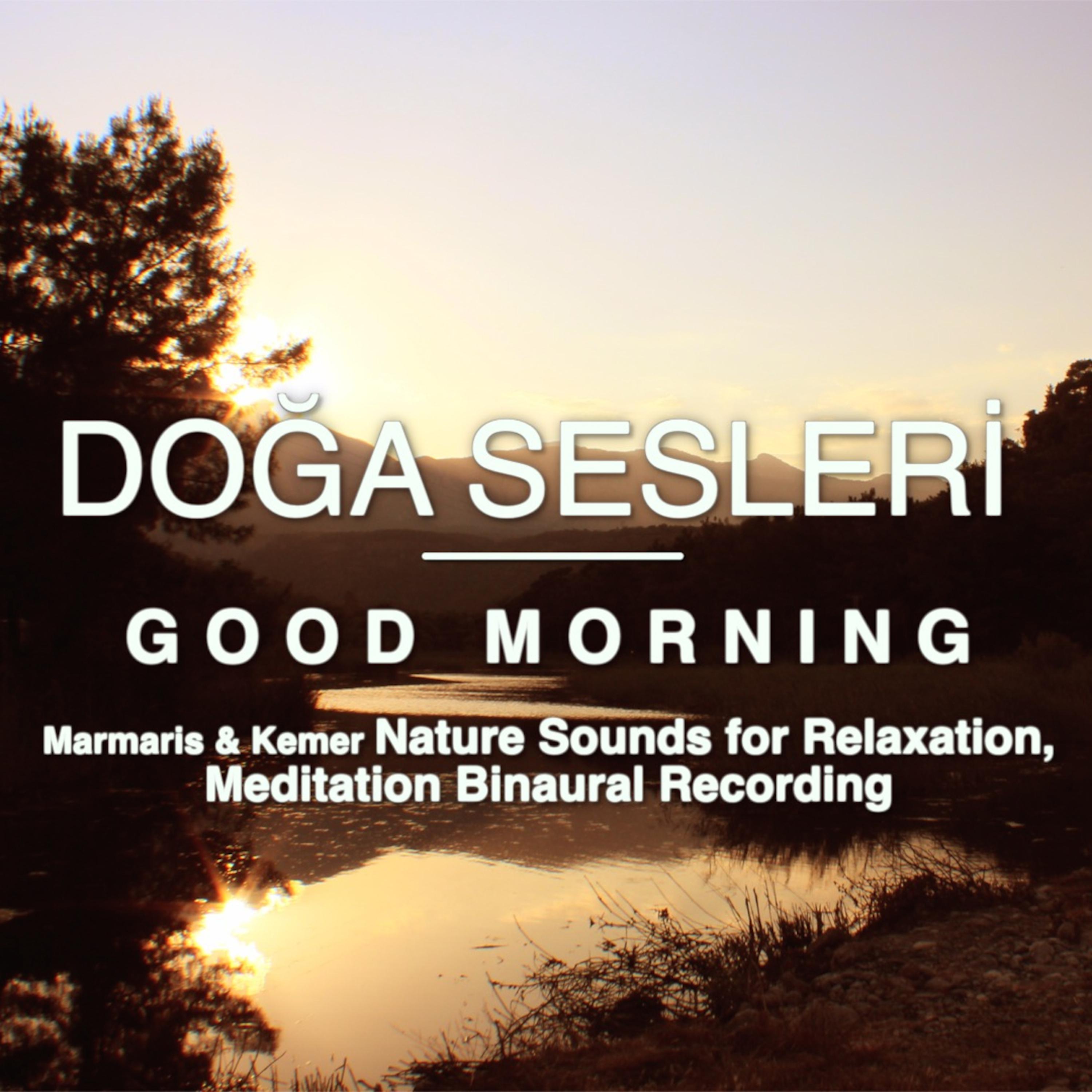 Постер альбома Good Morning - Marmaris & Kemer Nature Sounds for Relaxation, Meditation Binaural Recording