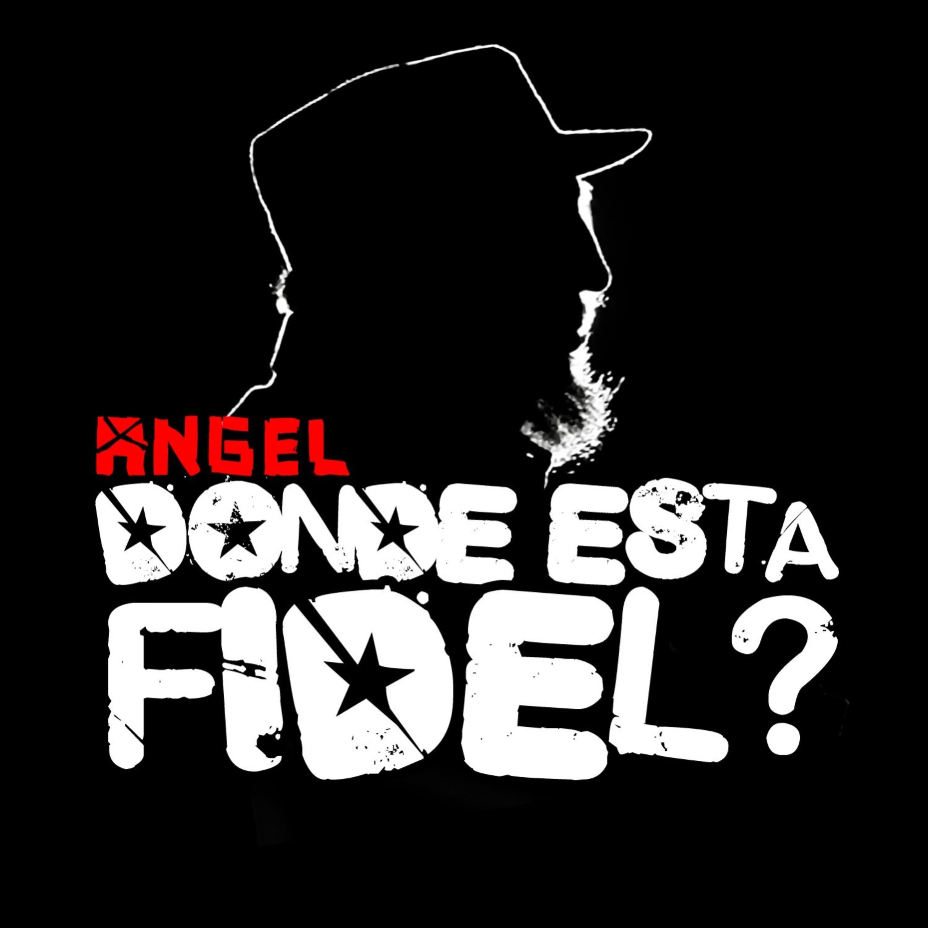 Постер альбома Donde Esta Fidel? - Single