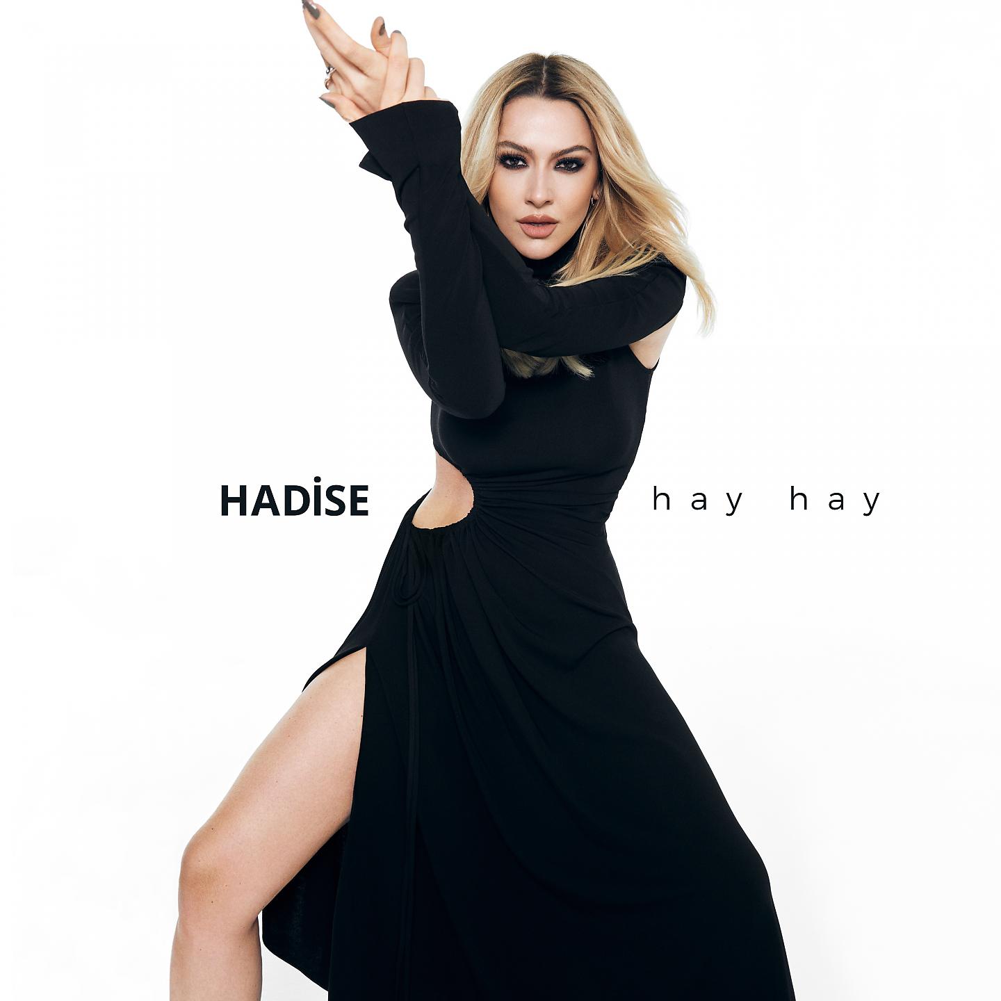 Постер альбома Hay Hay