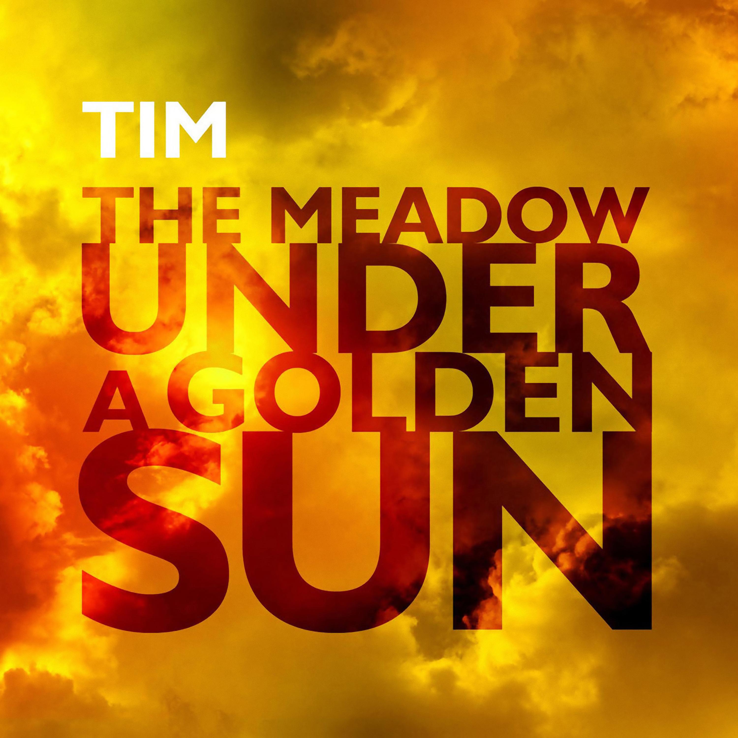 Постер альбома The Meadow Under a Golden Sun
