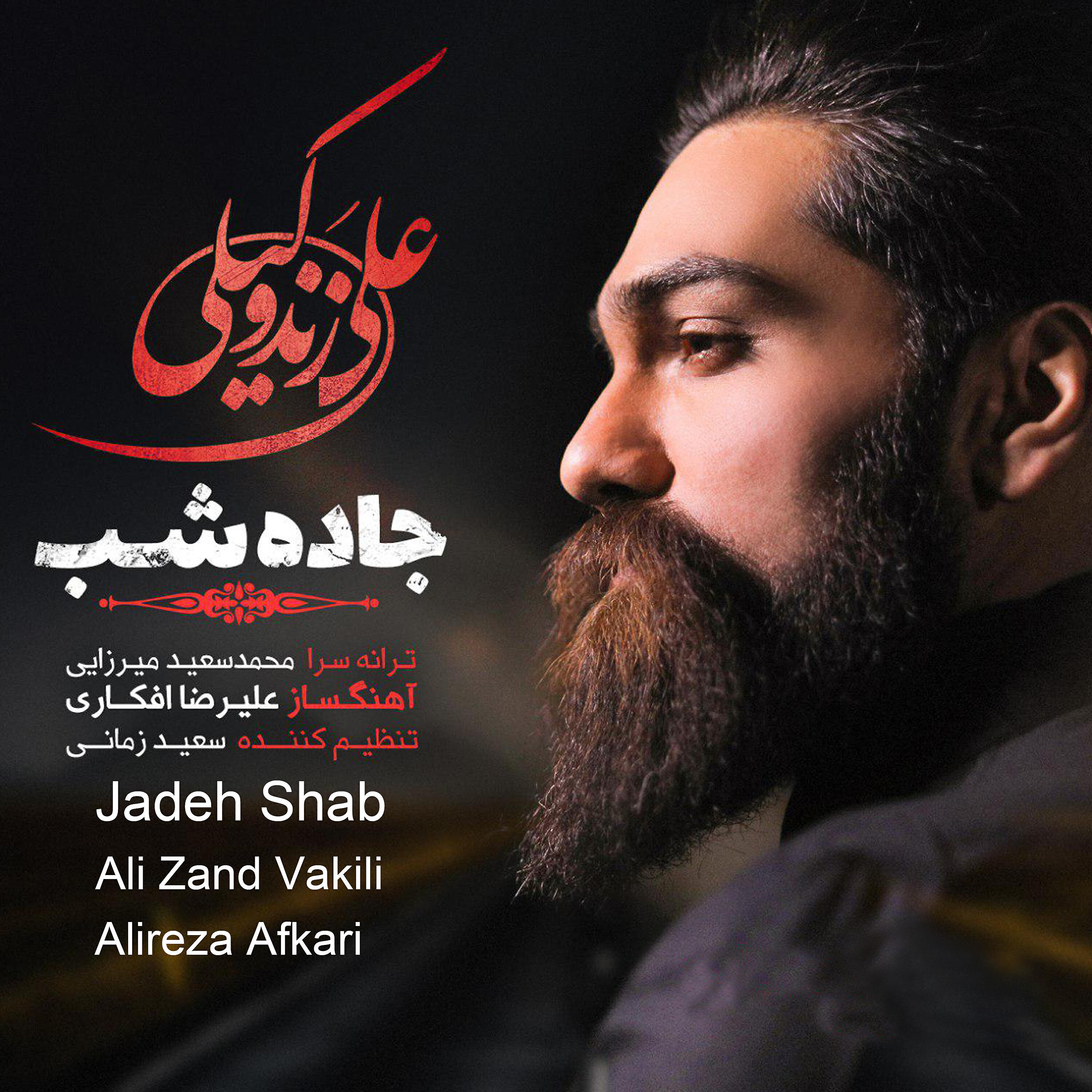 Ali Zand Vakili - Jadeh Shab
