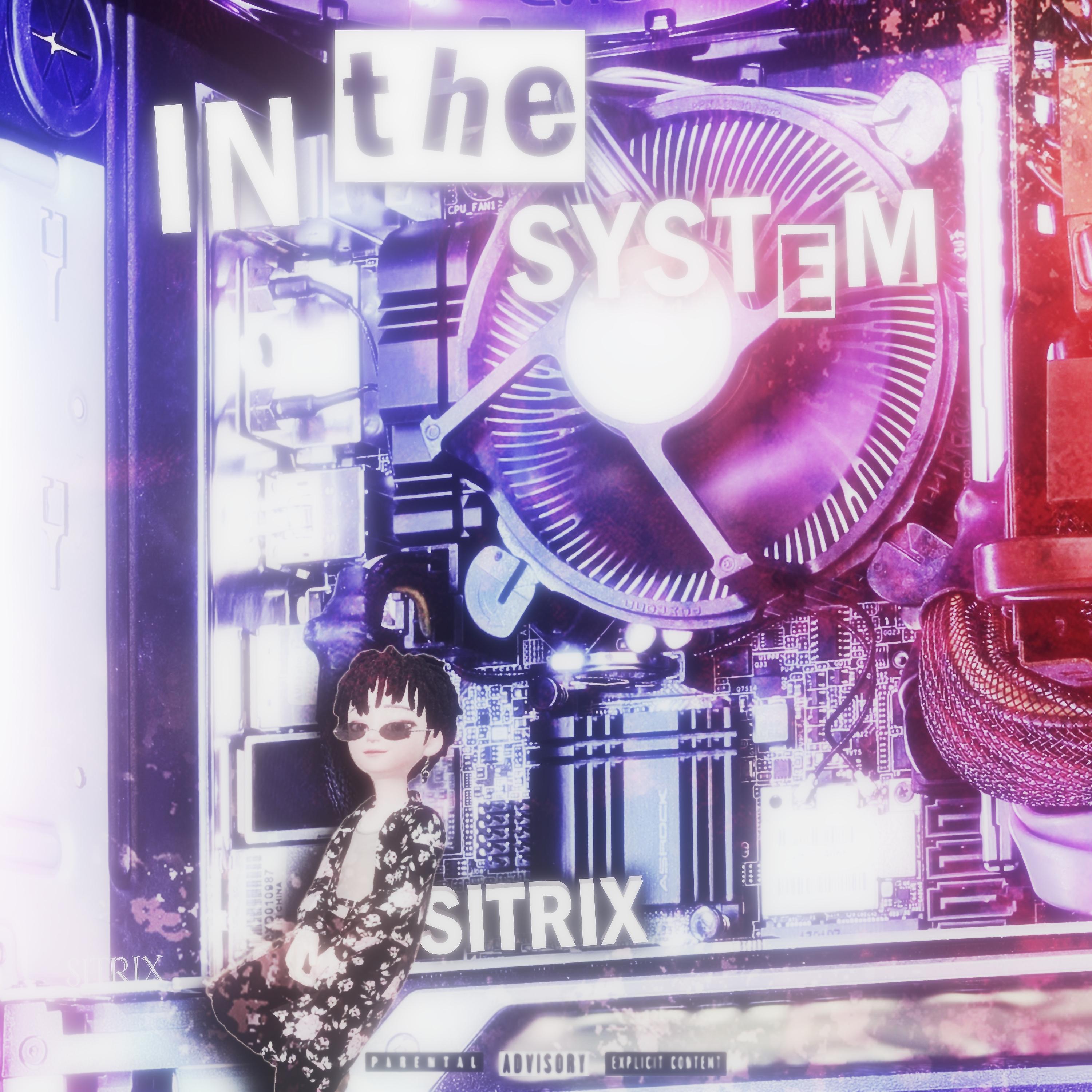 Постер альбома In the System