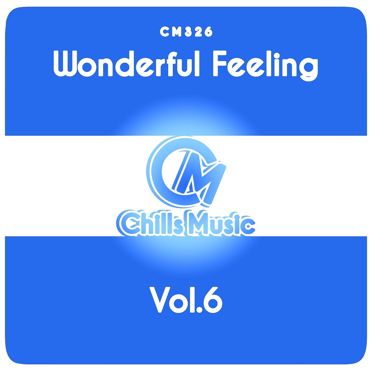 Постер альбома Wonderful Feeling, Vol.6