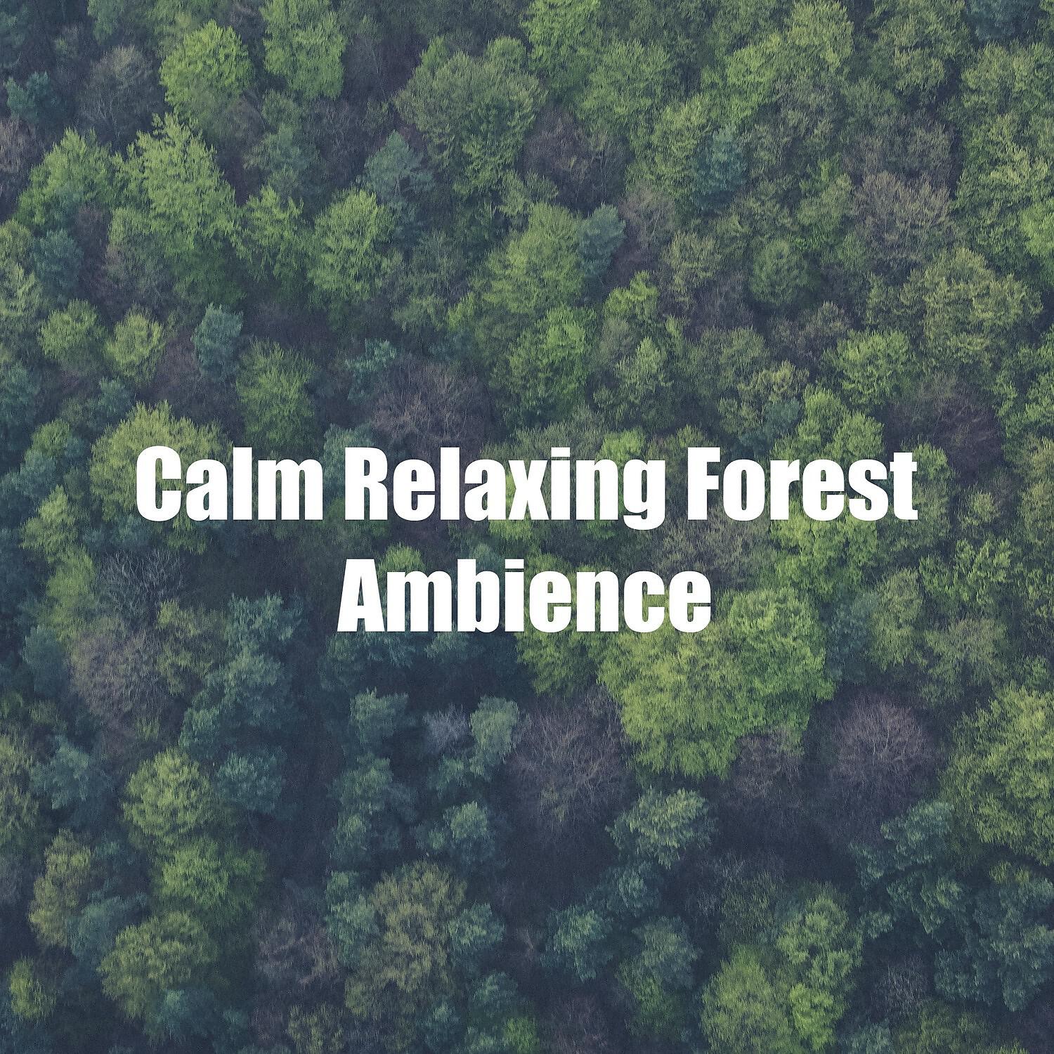 Pink Noise Satisfying Sleep - Efficient Pink Noise
