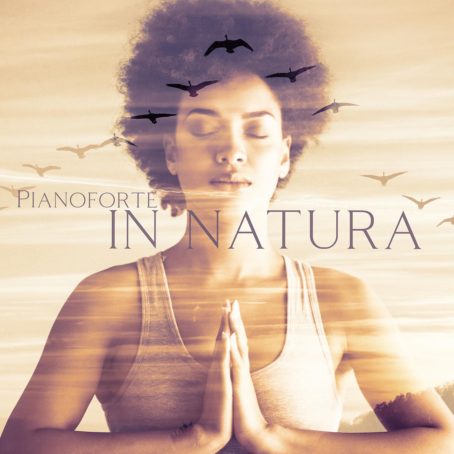 Постер альбома Pianoforte in natura: Musica pianoforte classica rilassante per yoga e relax profondo, Sfondo lenitivo per la meditazione