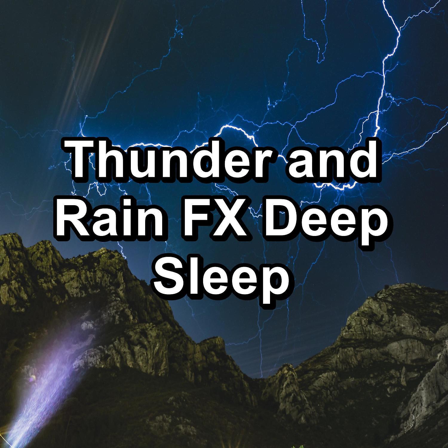 Постер альбома Thunder and Rain FX Deep Sleep