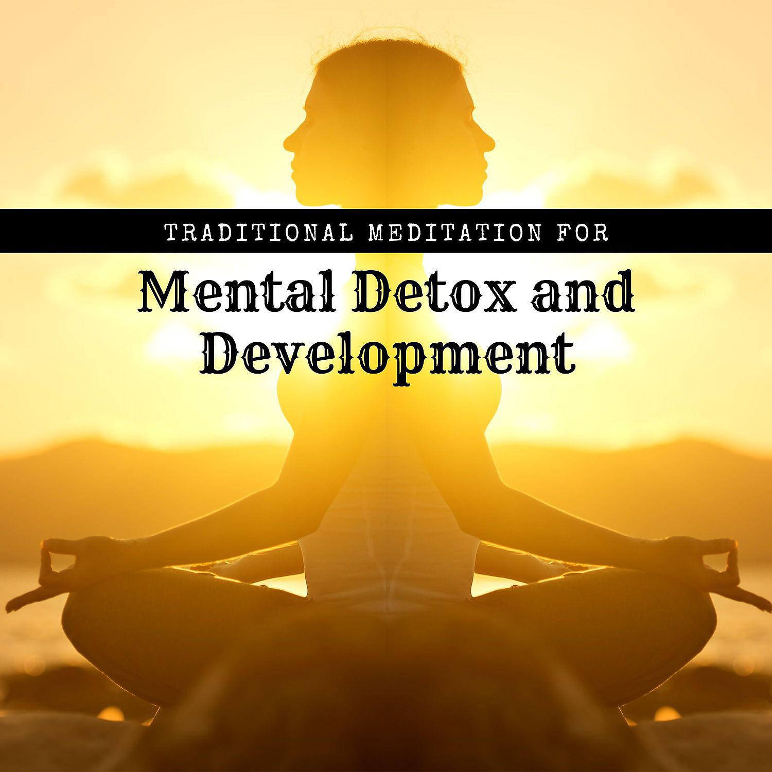 Постер альбома Traditional Meditation for Mental Detox and Development