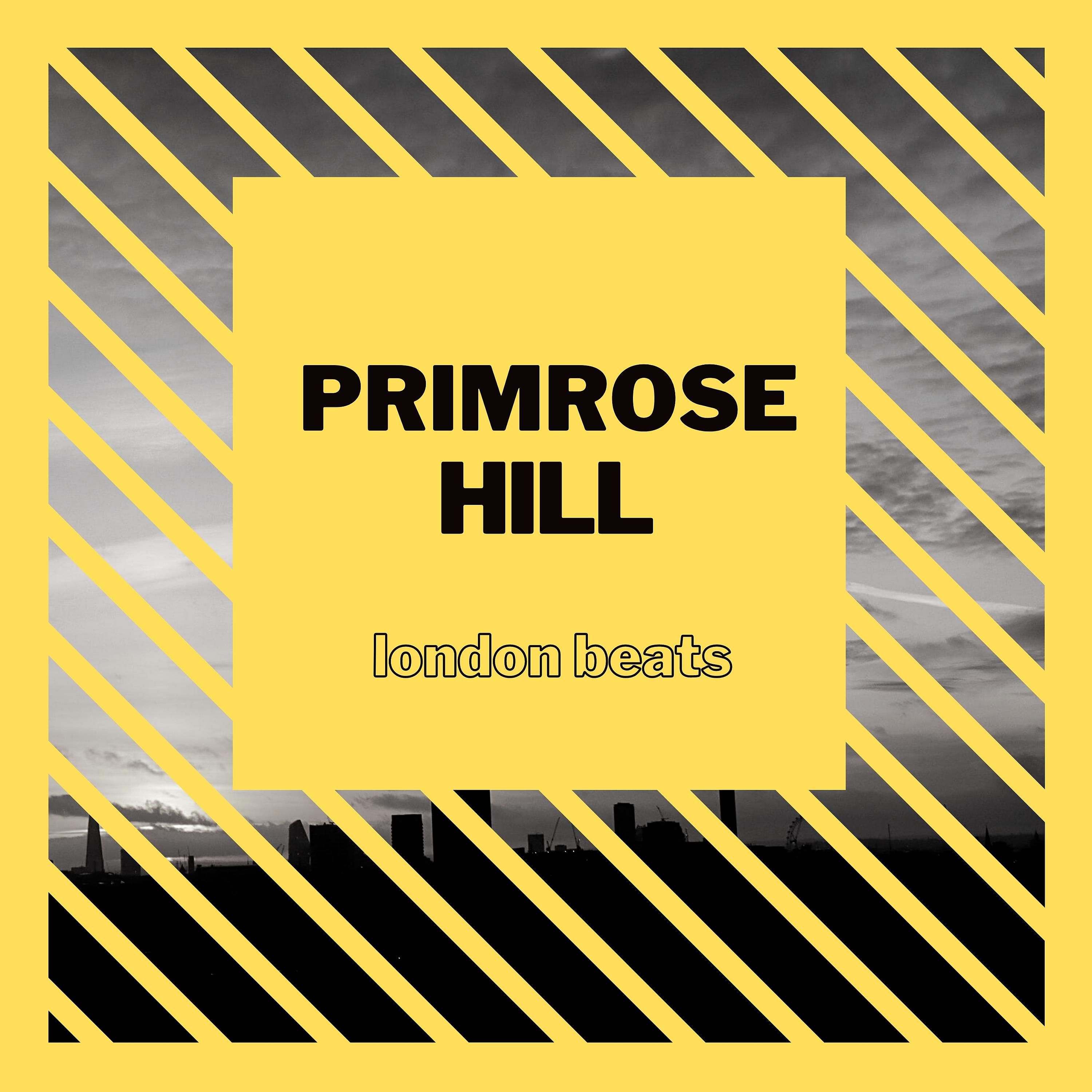 Постер альбома Primrose Hill