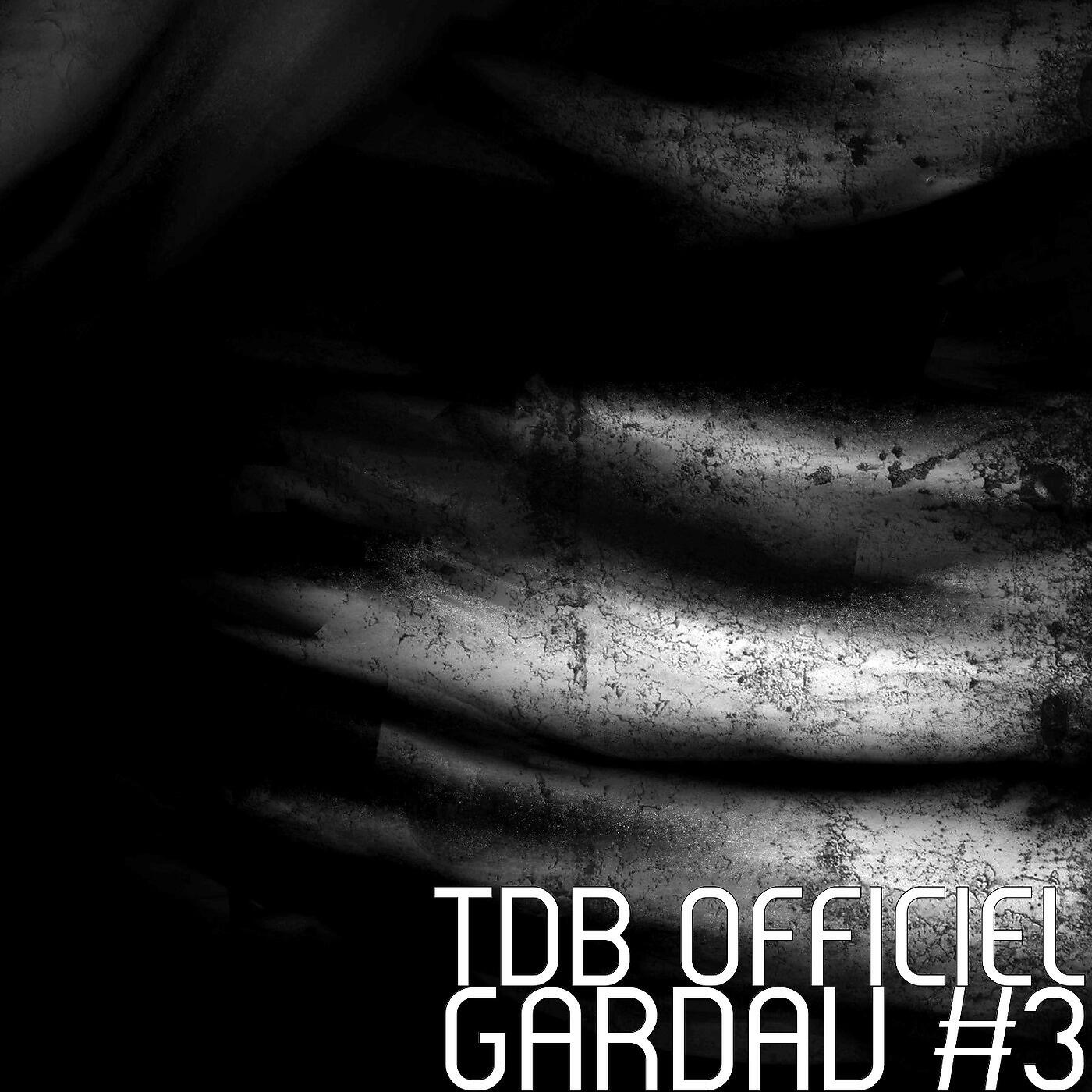 TDB OFFICIEL - Gardav 3
