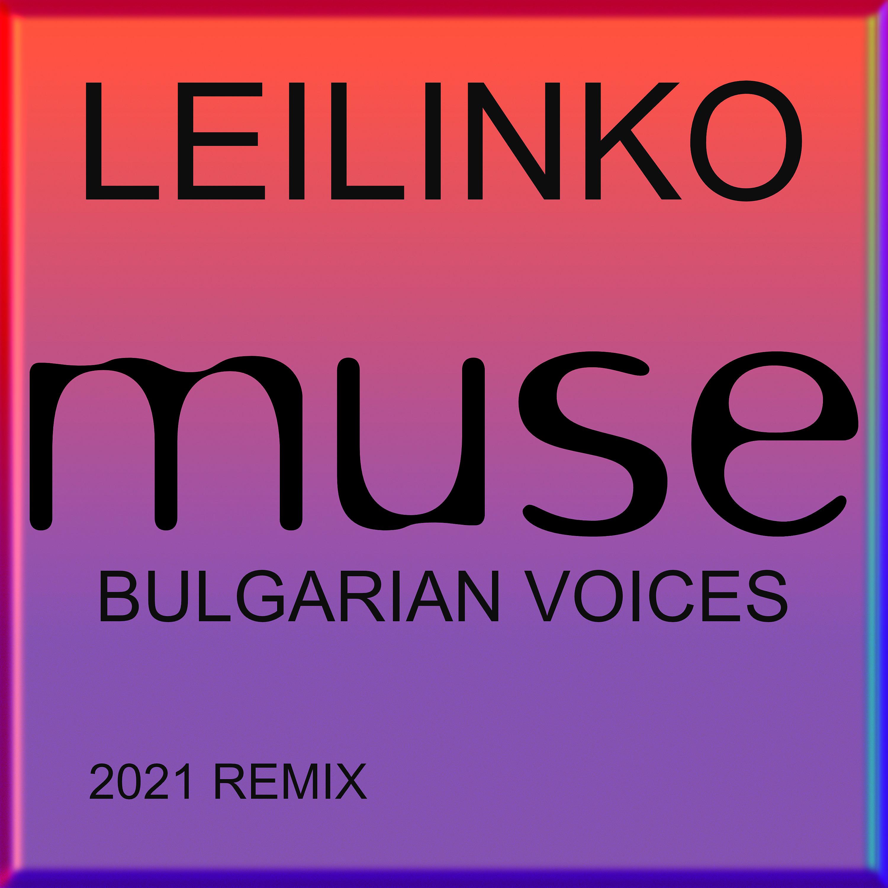 Постер альбома Leilinko (2021 Remix)