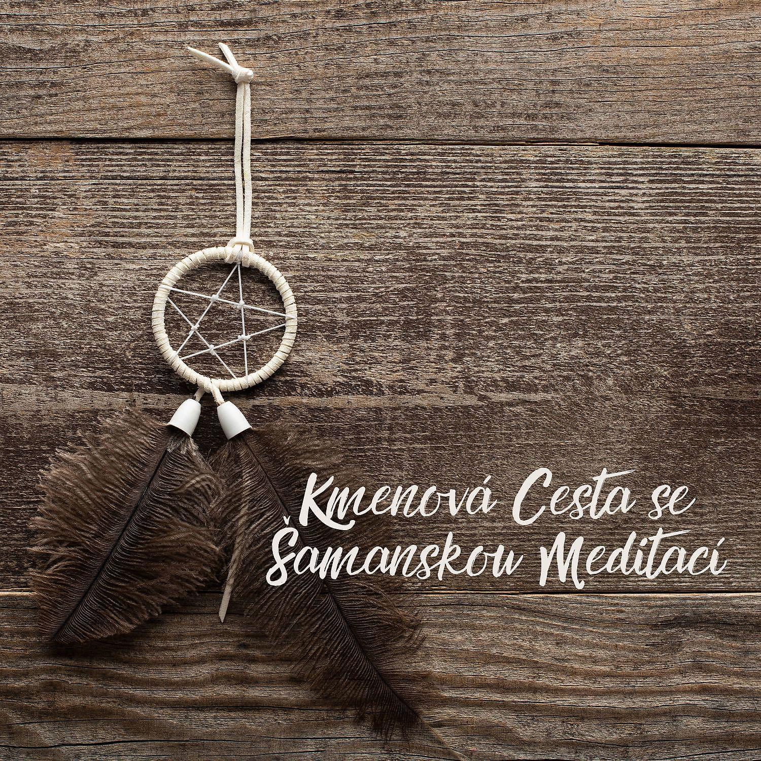 Постер альбома Kmenová Cesta se Šamanskou Meditací
