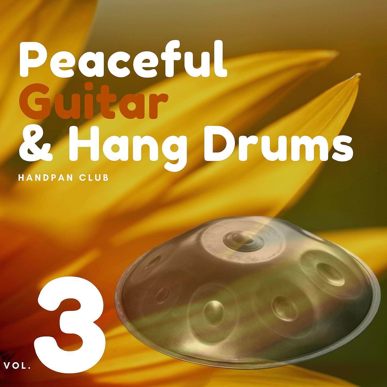 Handpan Club - Hang Drum Ambient (Classical Guitar) - Relaxing Crickets