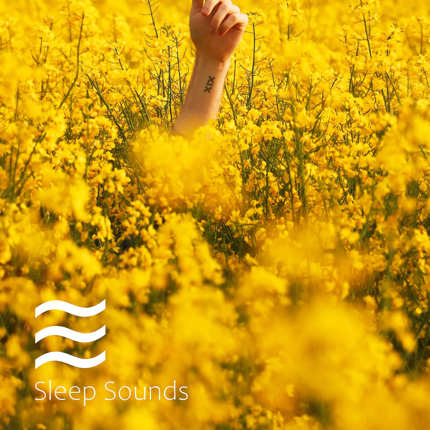 Restful Noises for Calm and Deep Relax - Restful Soft Sound of Noise for Relax