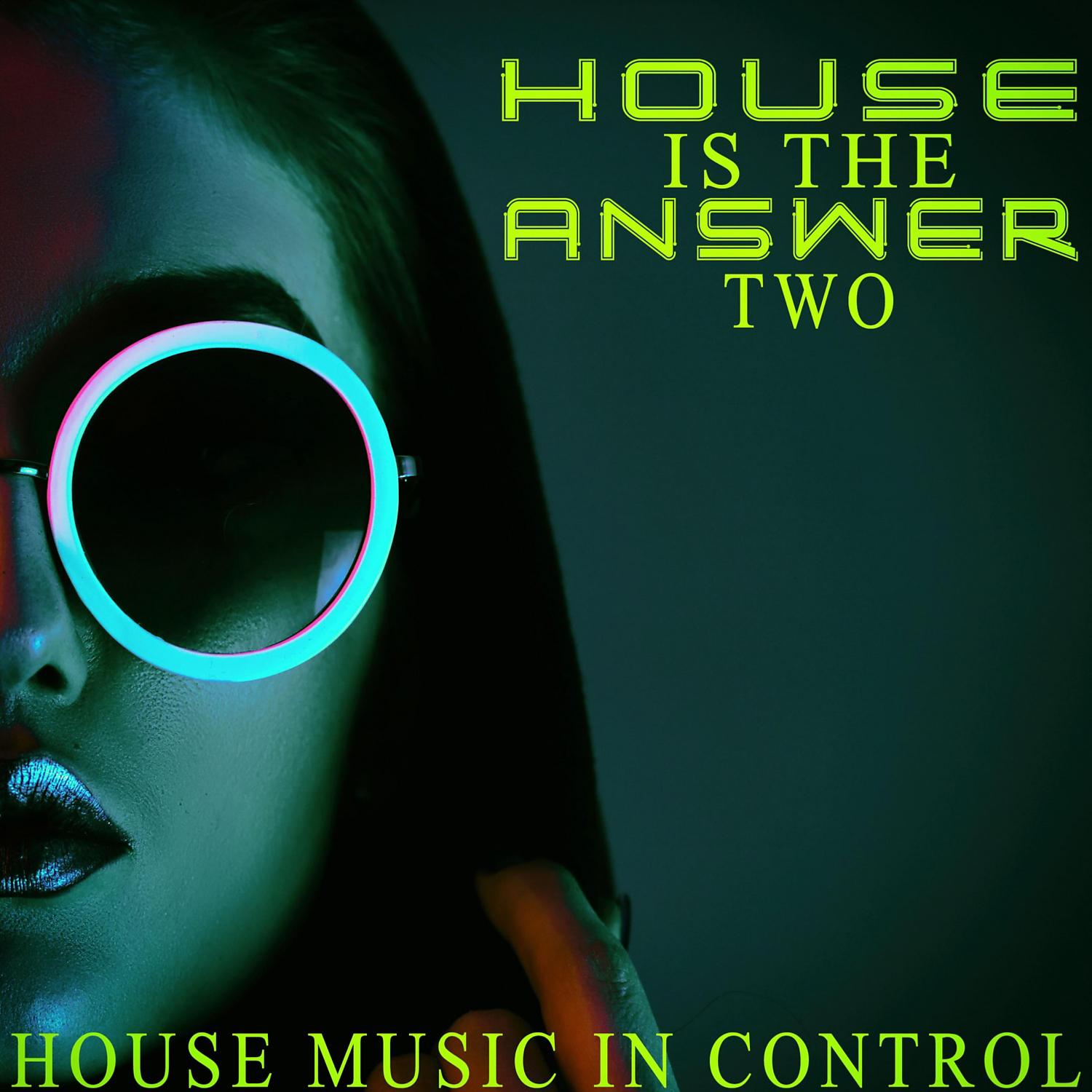 Постер альбома House is the Answer, Two - House Music in Control