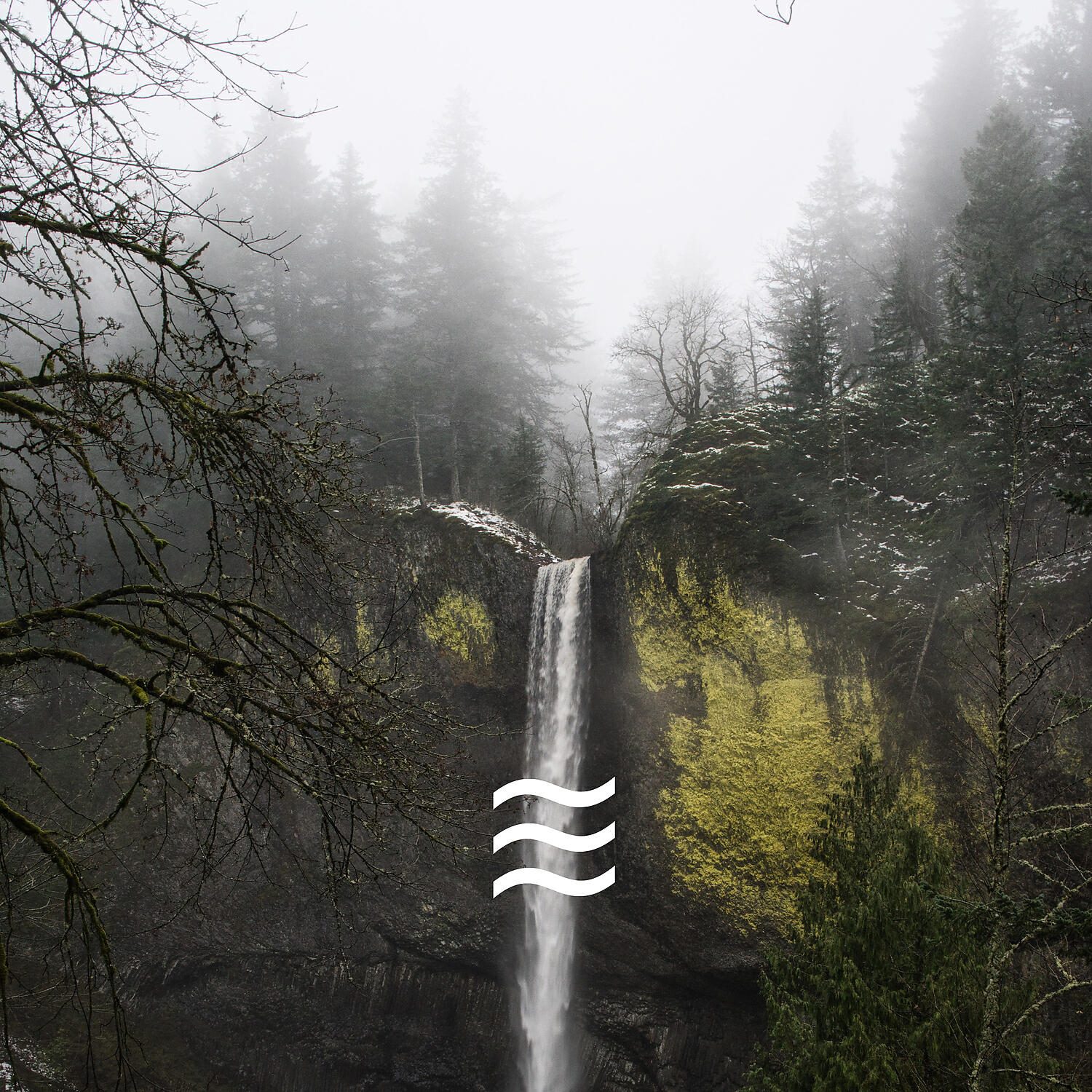 Simple Deep Forest and Birds Calming Noises - Smooth Sober Soughs of Forest Sounds