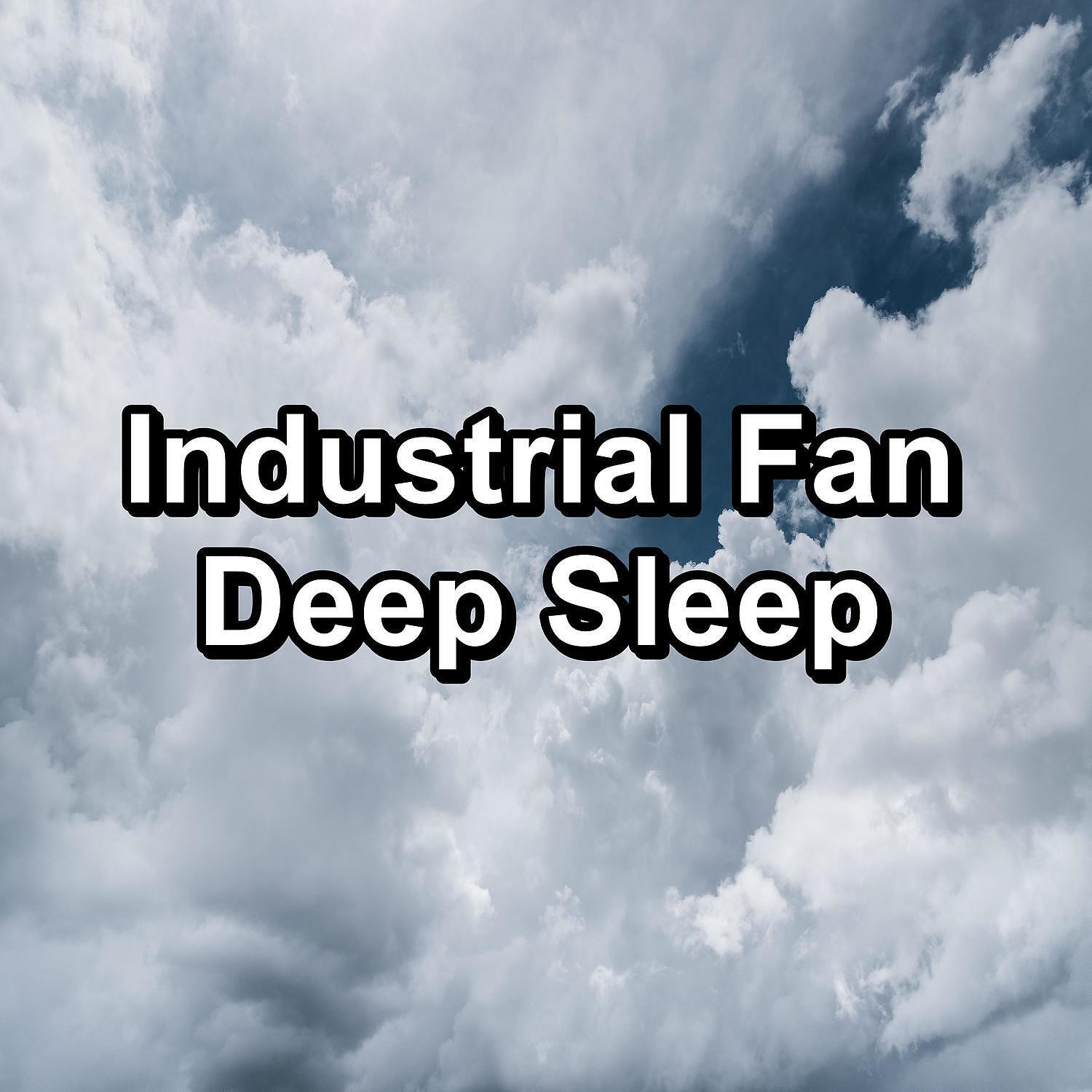 New Age - The Infant Sleeping Soundly