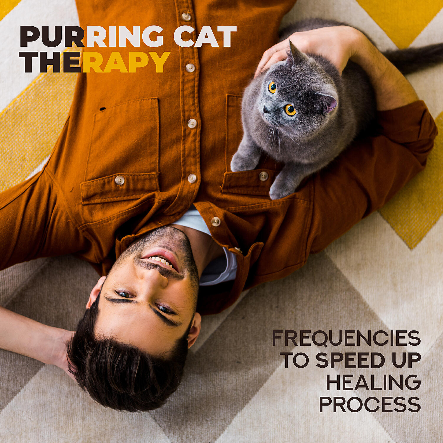 Deep Sleep Hypnosis Masters - Sanctuary of Cats
