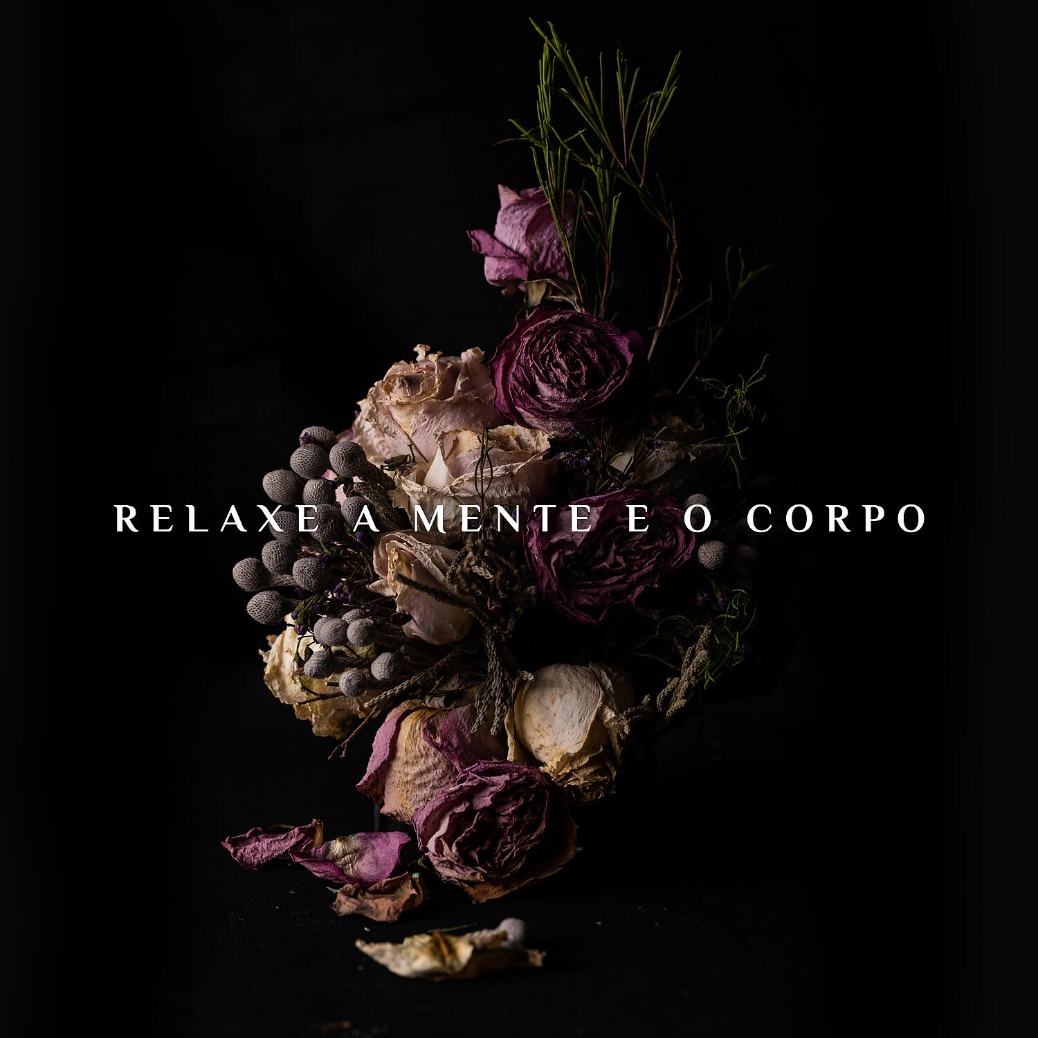 Hipnose Natureza Sons Coleção - Pensamento Positivo