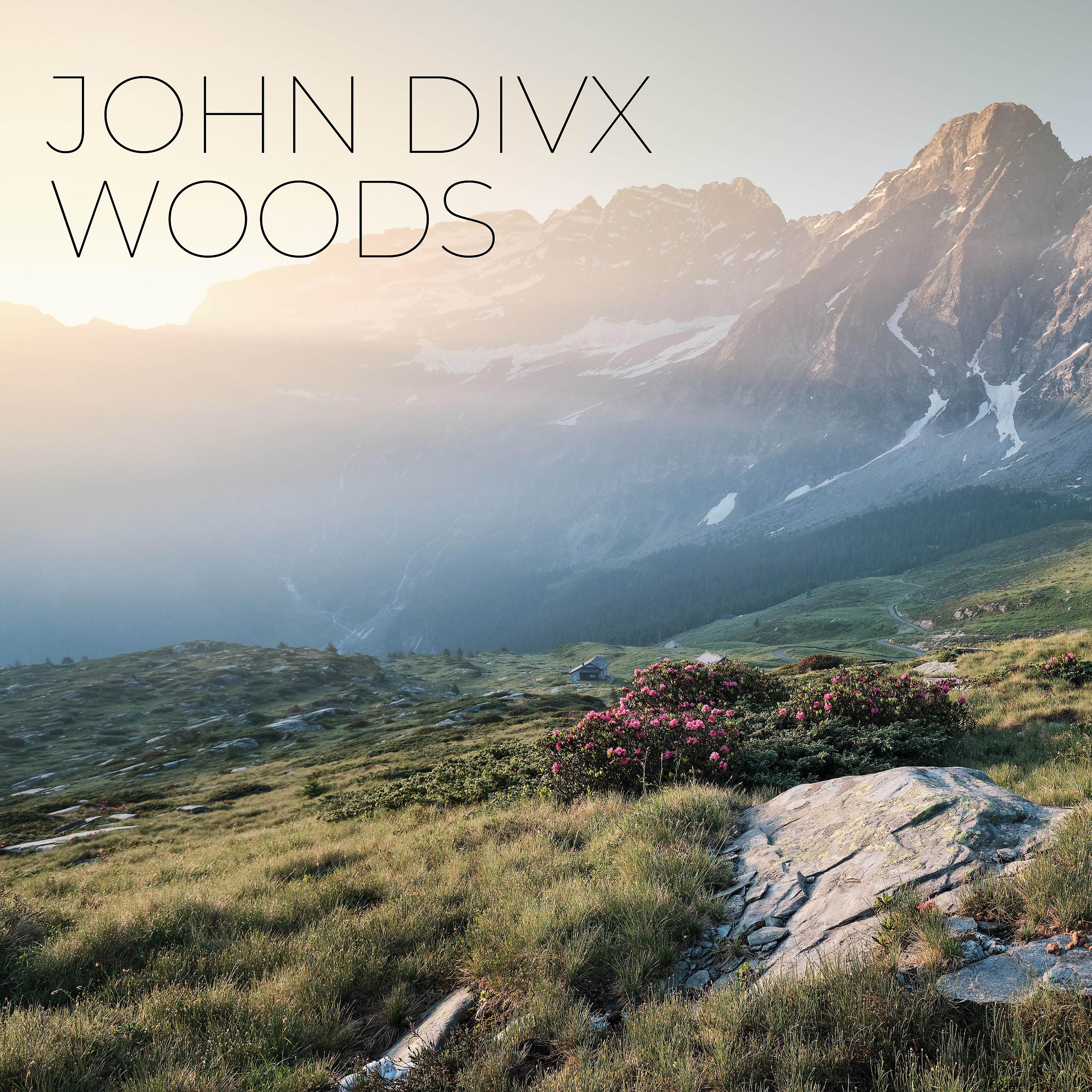 Постер альбома Woods (8D Audio)