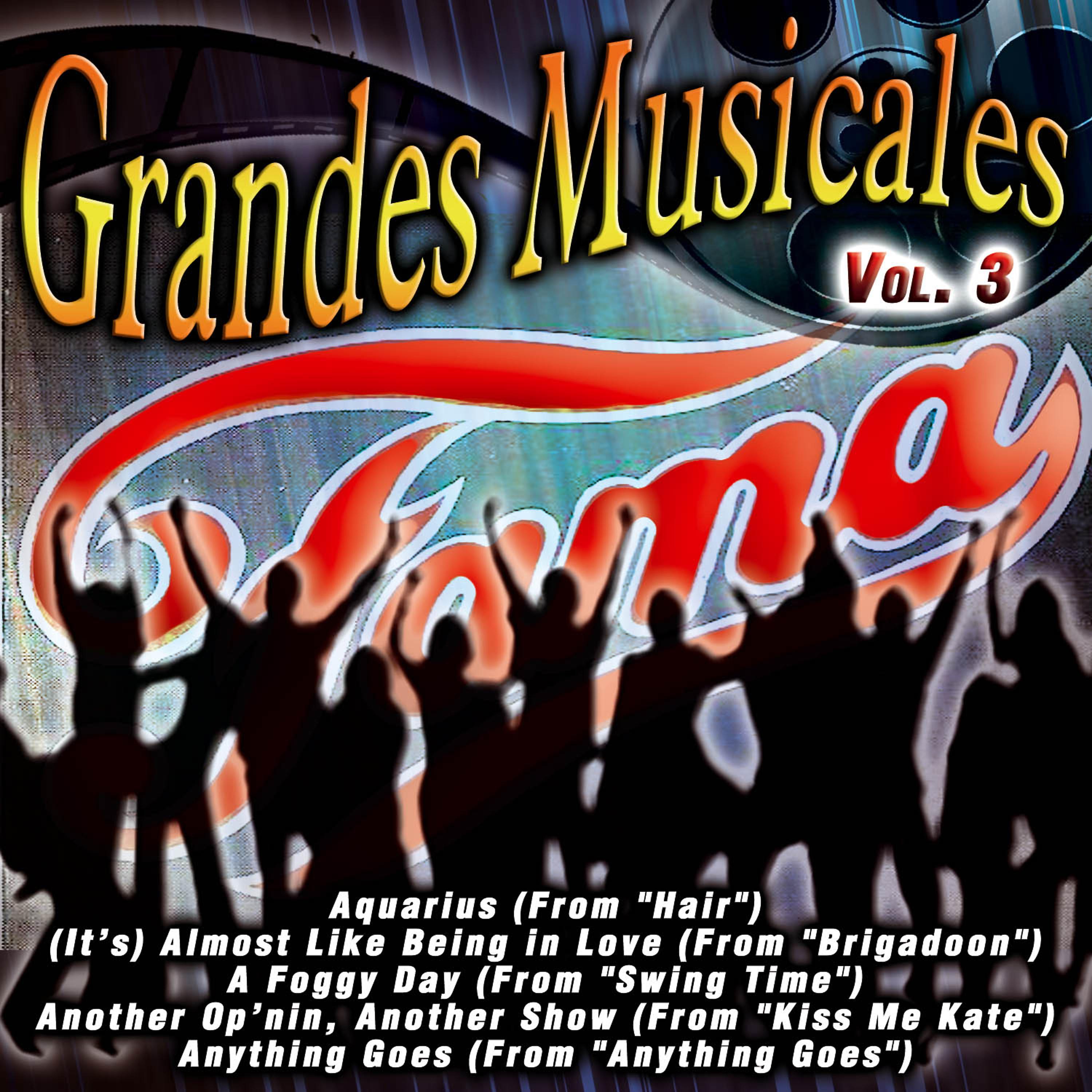 Постер альбома Grandes Musicales Vol. 3