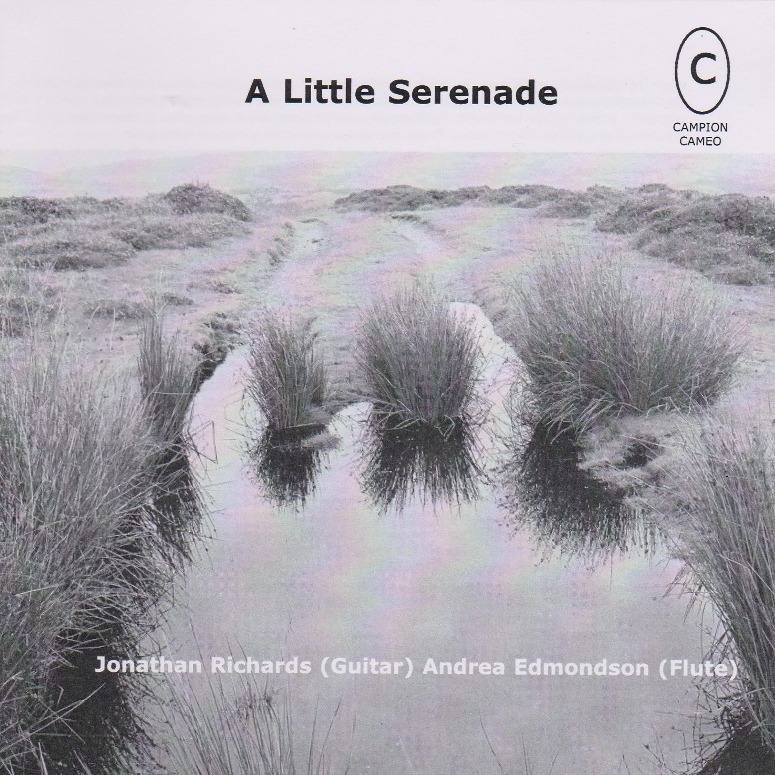 Постер альбома A Little Serenade