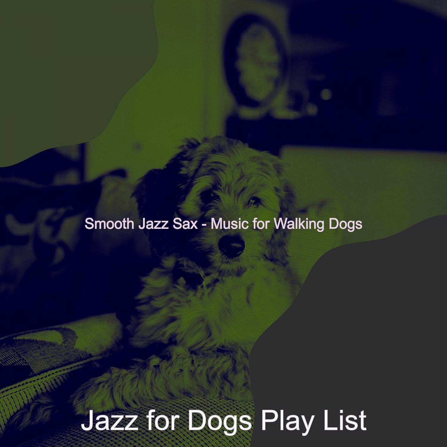 Постер альбома Smooth Jazz Sax - Music for Walking Dogs