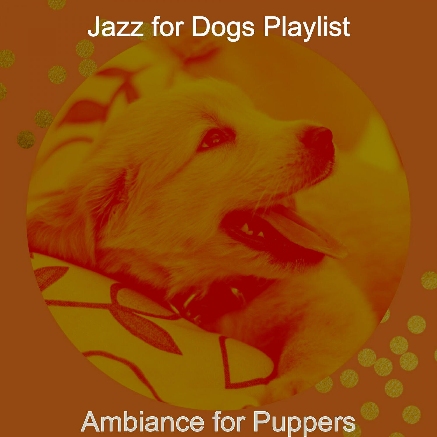 Jazz for Dogs Playlist - Astonishing Music for Morning Dog Walks