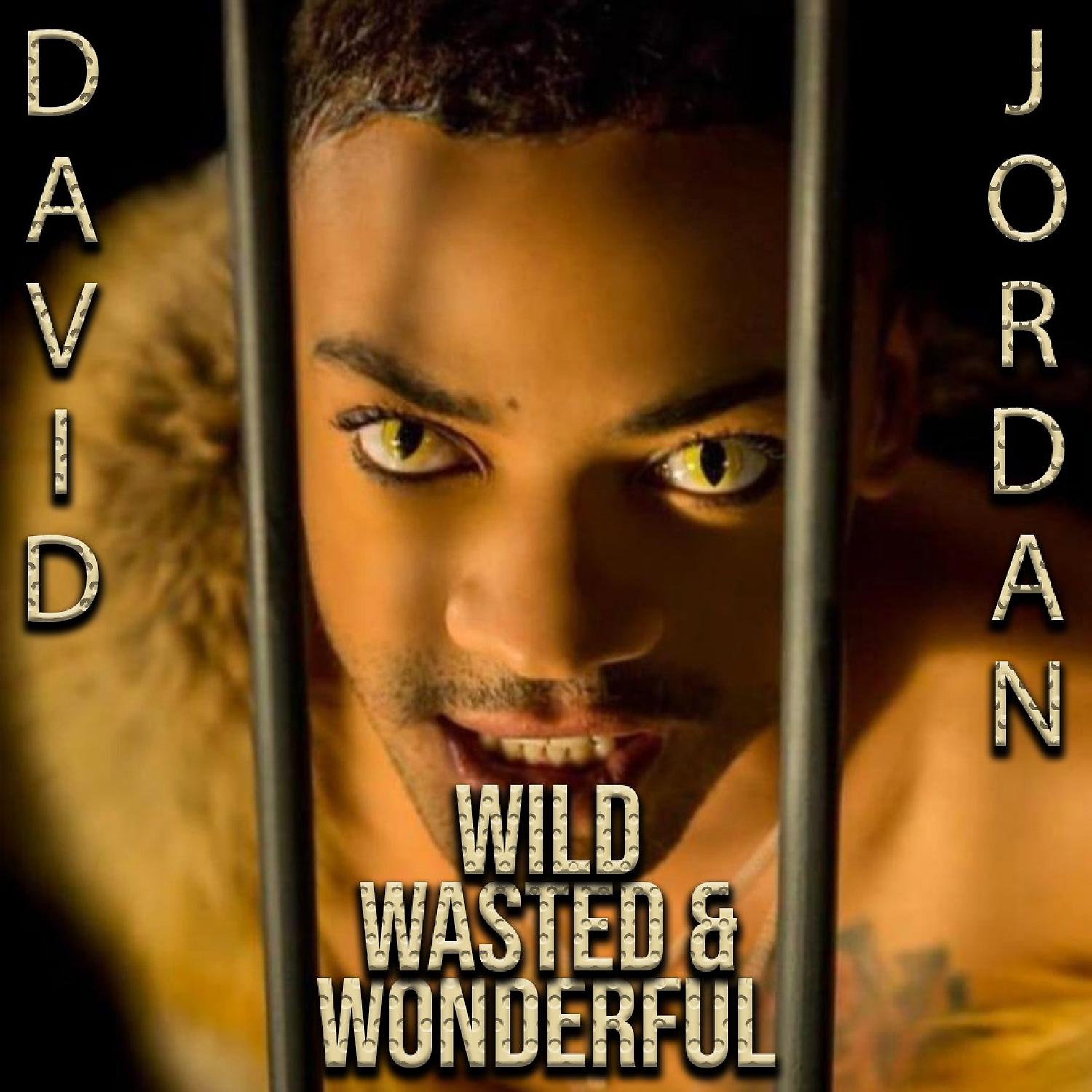 Постер альбома Wild, Wasted, & Wonderful