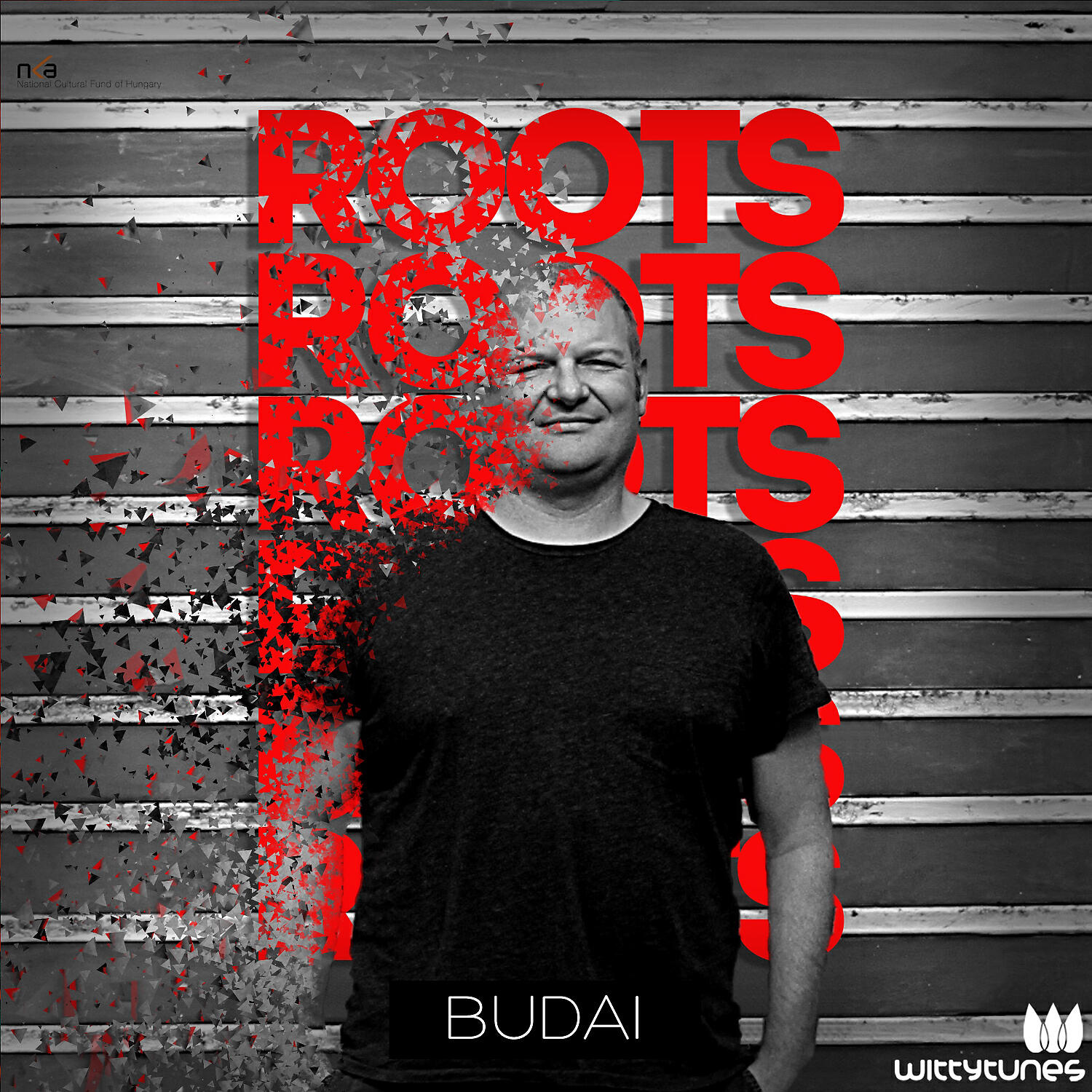 Budai - This Unfunk