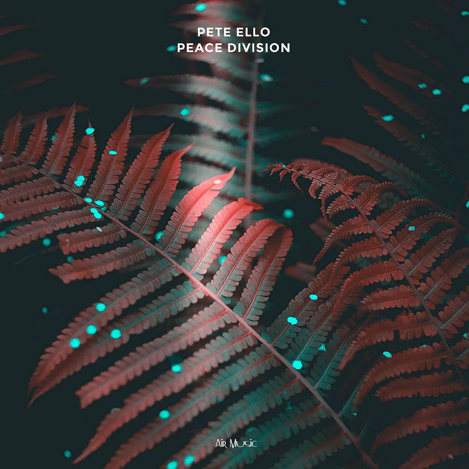 Pete Ello - Moon