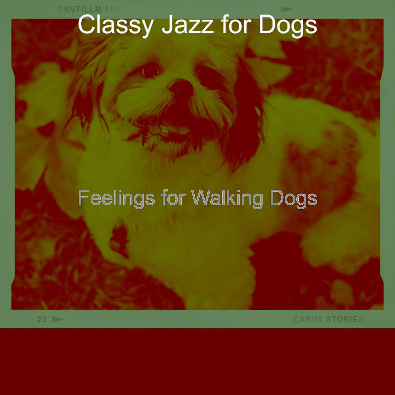 Classy Jazz for Dogs - Marvellous Music for Walking Dogs