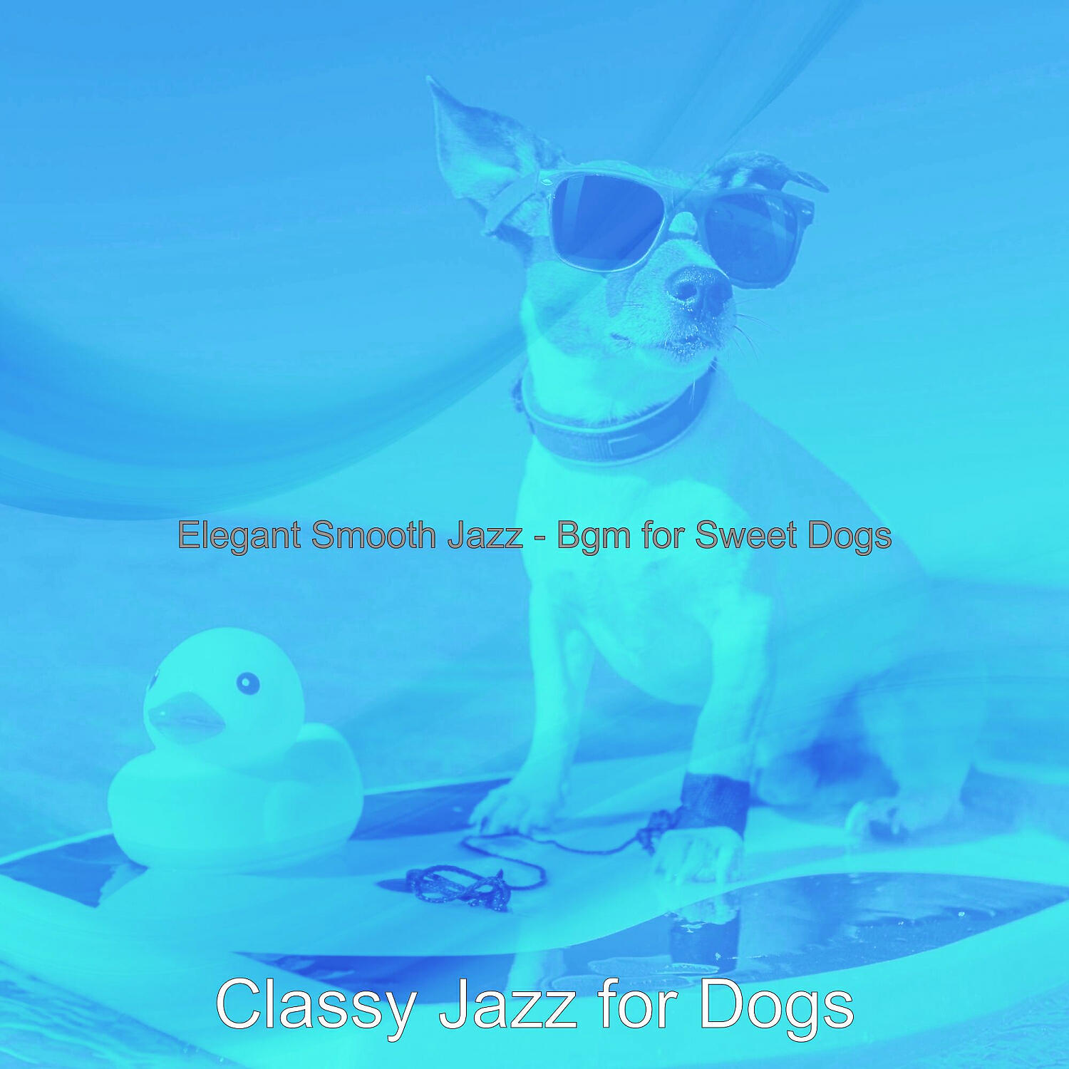 Classy Jazz for Dogs - Sunny Music for Dog Walking