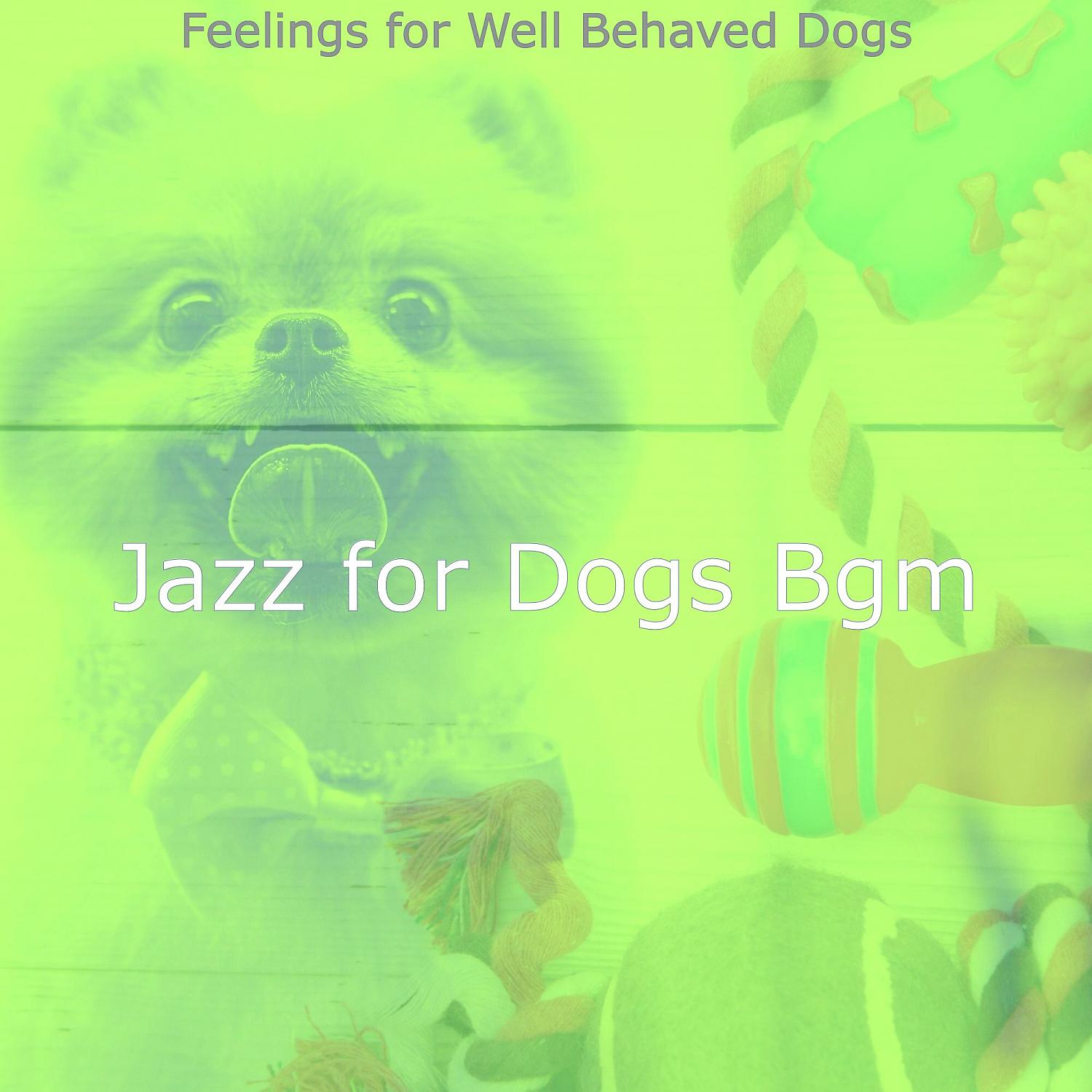 Постер альбома Feelings for Well Behaved Dogs